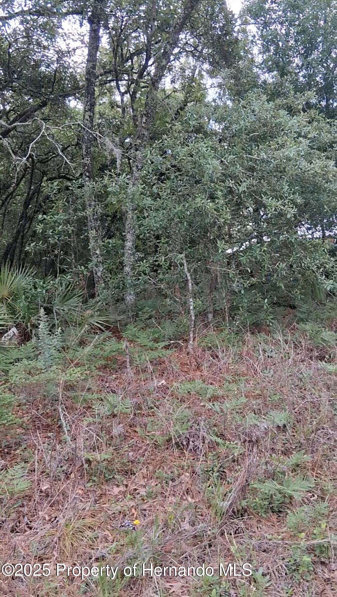 5887/ 5899 N Bedstrow Boulevard, Dunnellon, Florida image 1
