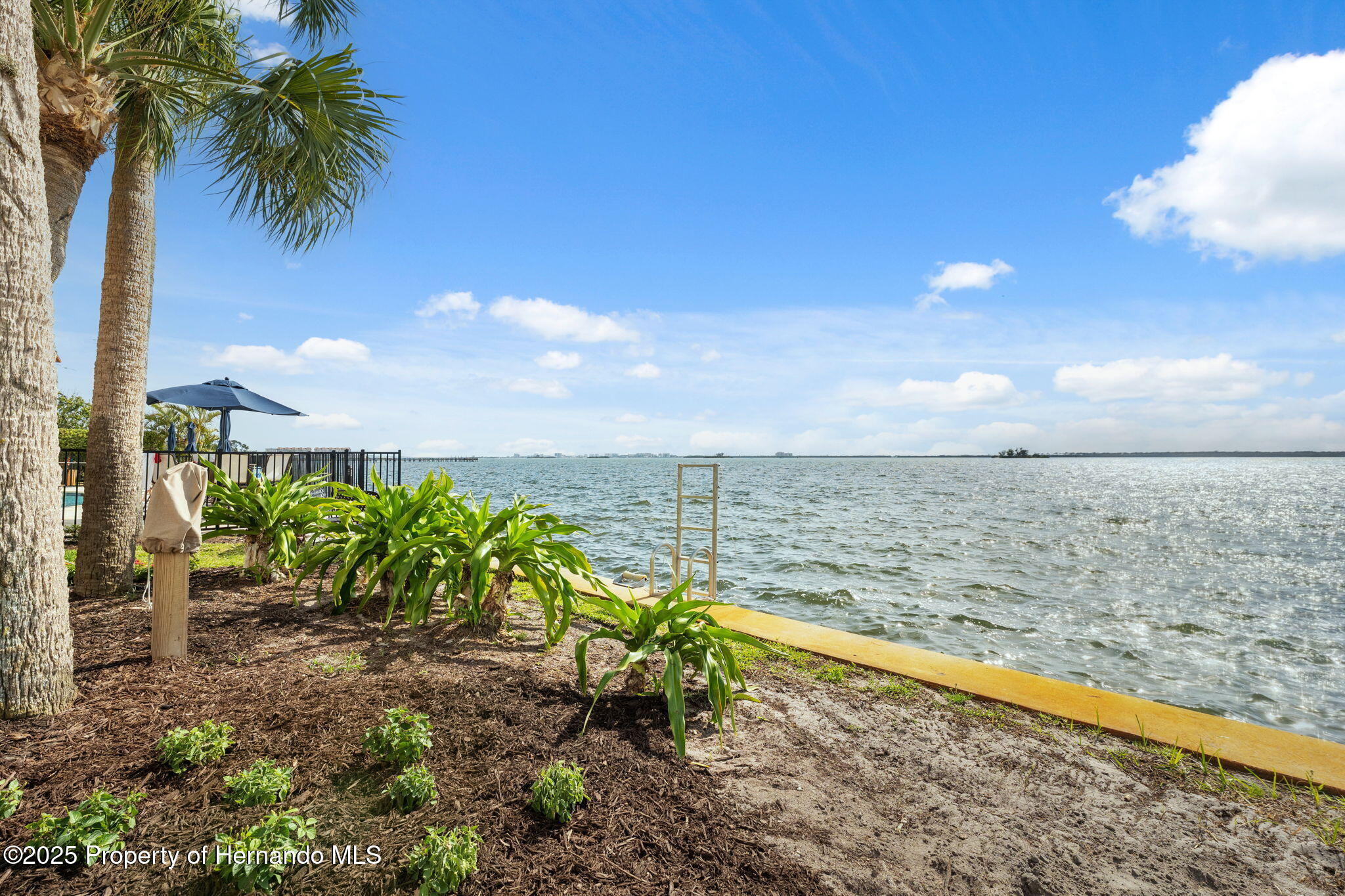 1340 Bayshore Boulevard #411, Dunedin, Florida image 49