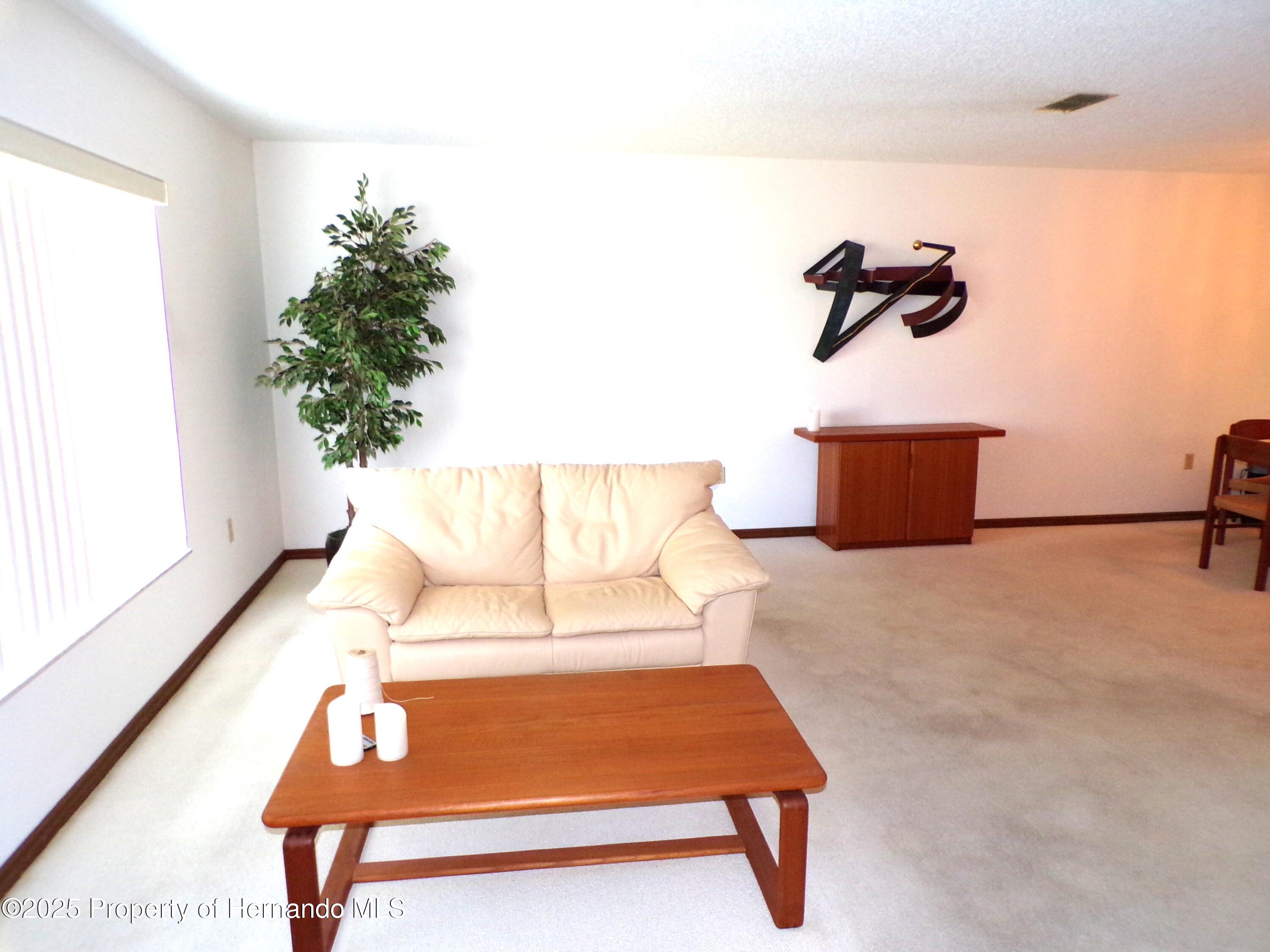 5248 Frost Road, Spring Hill, Florida image 7