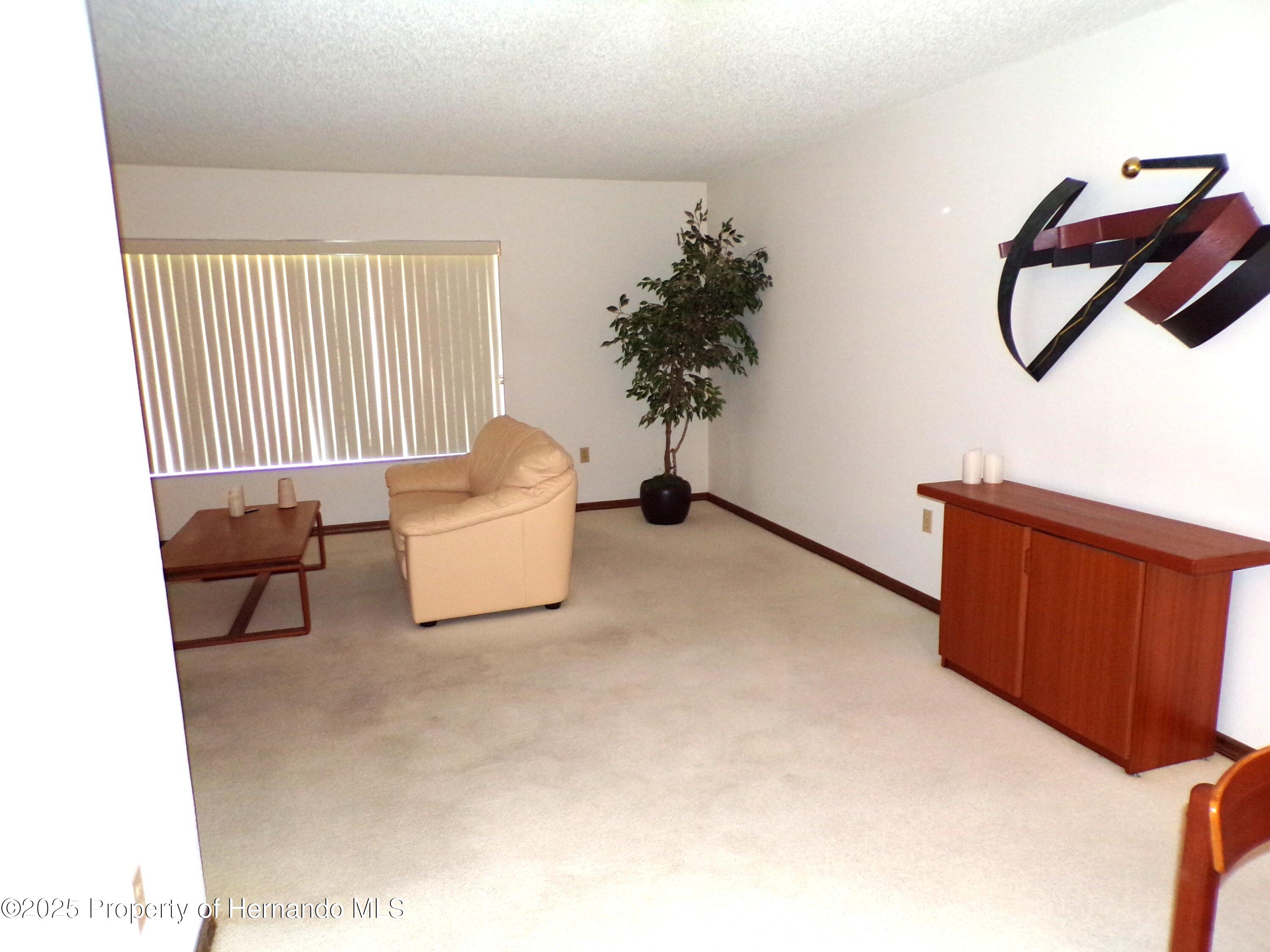 5248 Frost Road, Spring Hill, Florida image 6