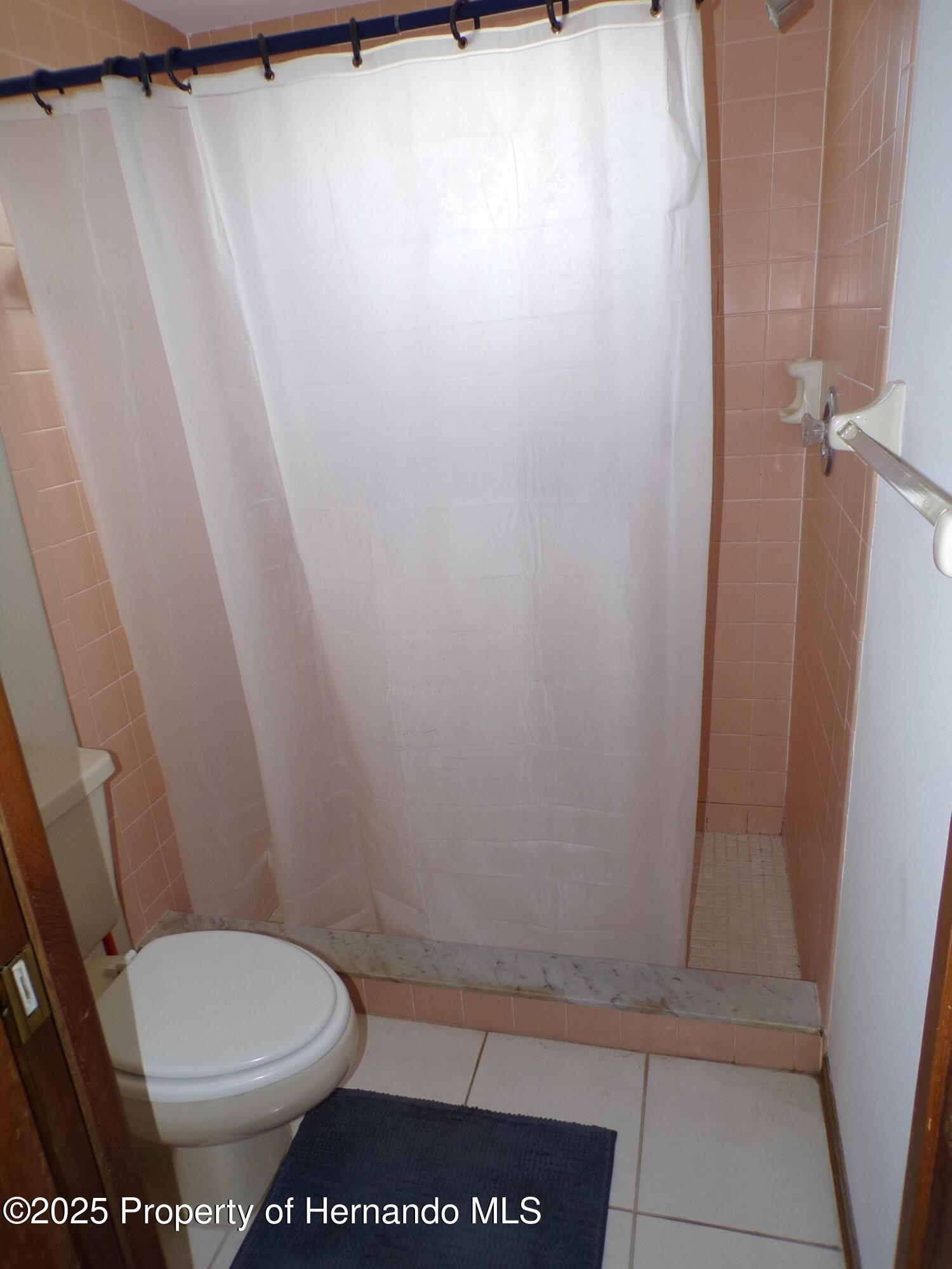 5248 Frost Road, Spring Hill, Florida image 20