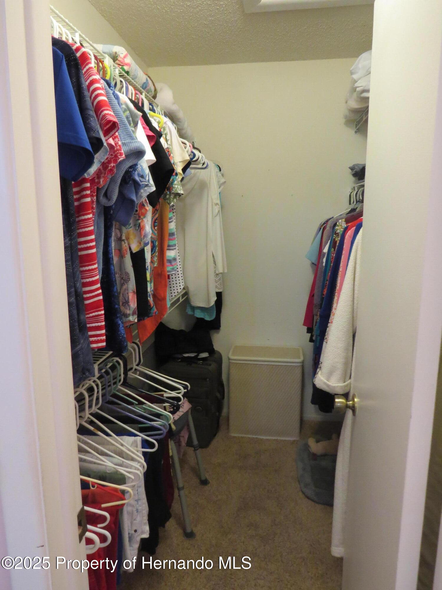 8055 Picketts Court #1, Spring Hill, Florida image 21