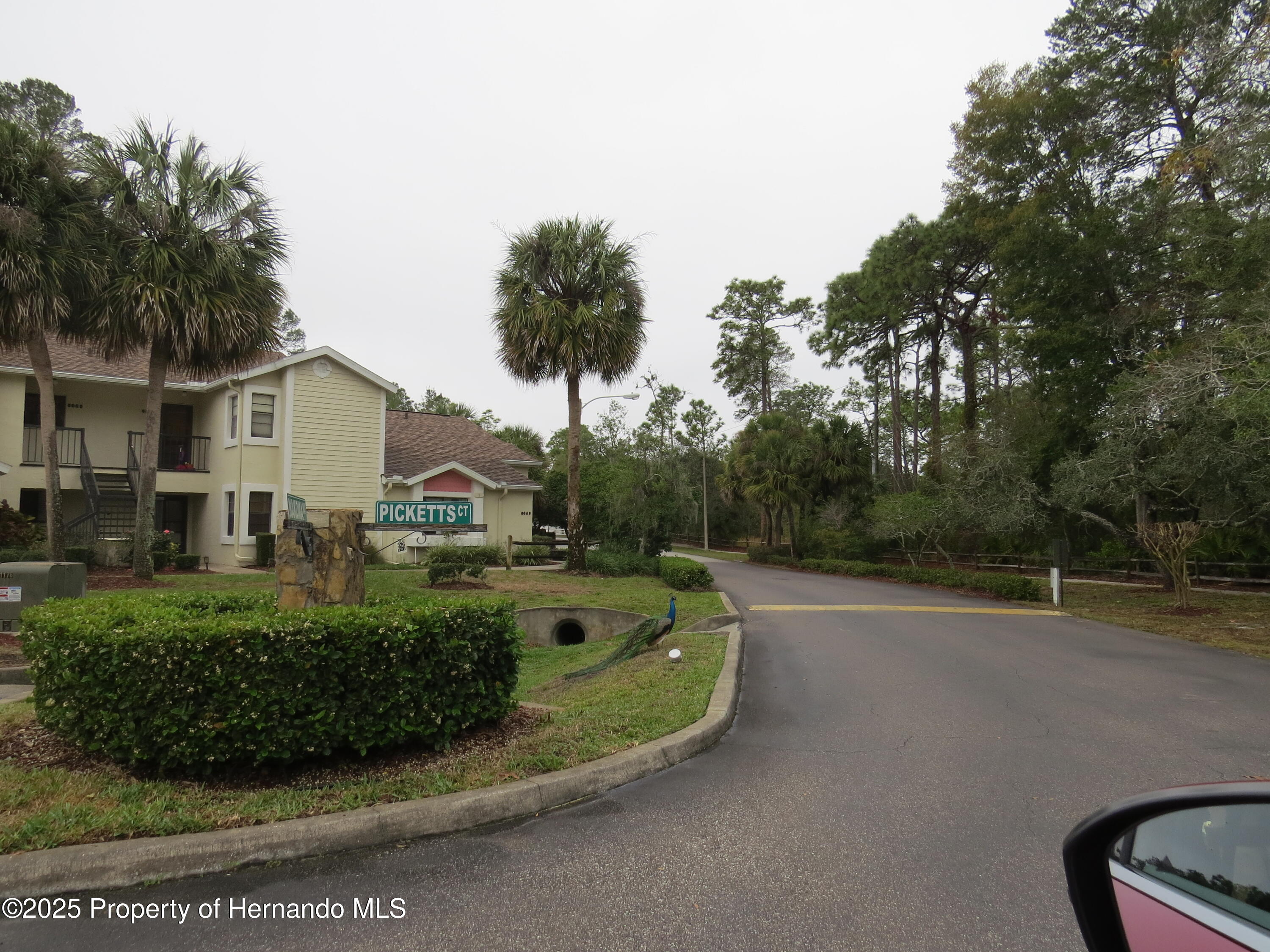 8055 Picketts Court #1, Spring Hill, Florida image 4