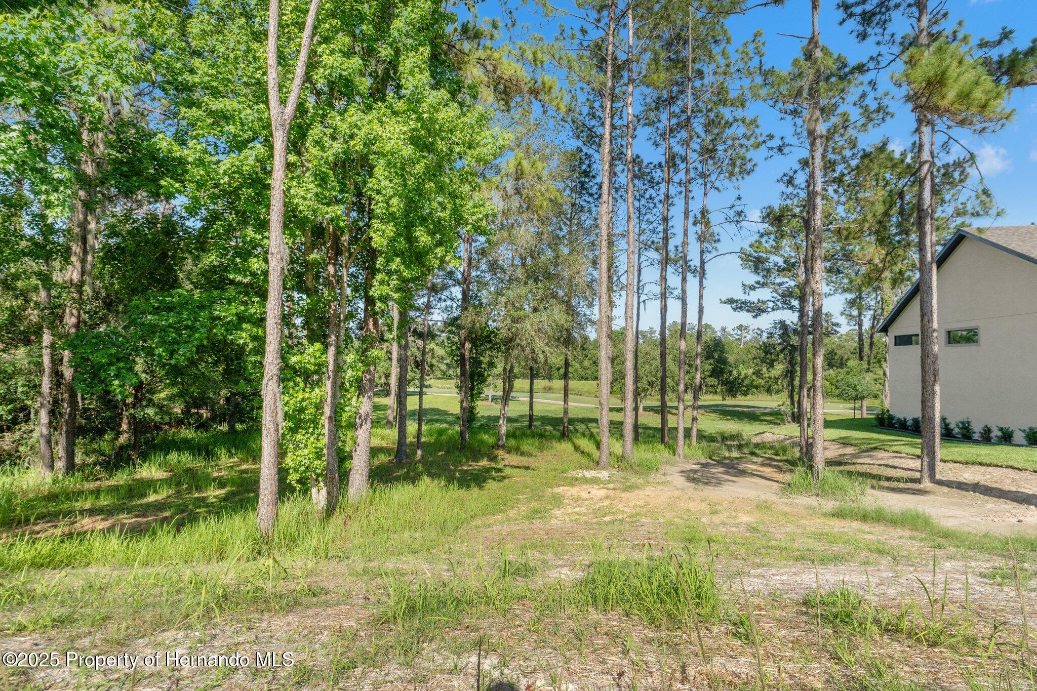 3925 Southern Valley Loop, Brooksville, Florida image 3