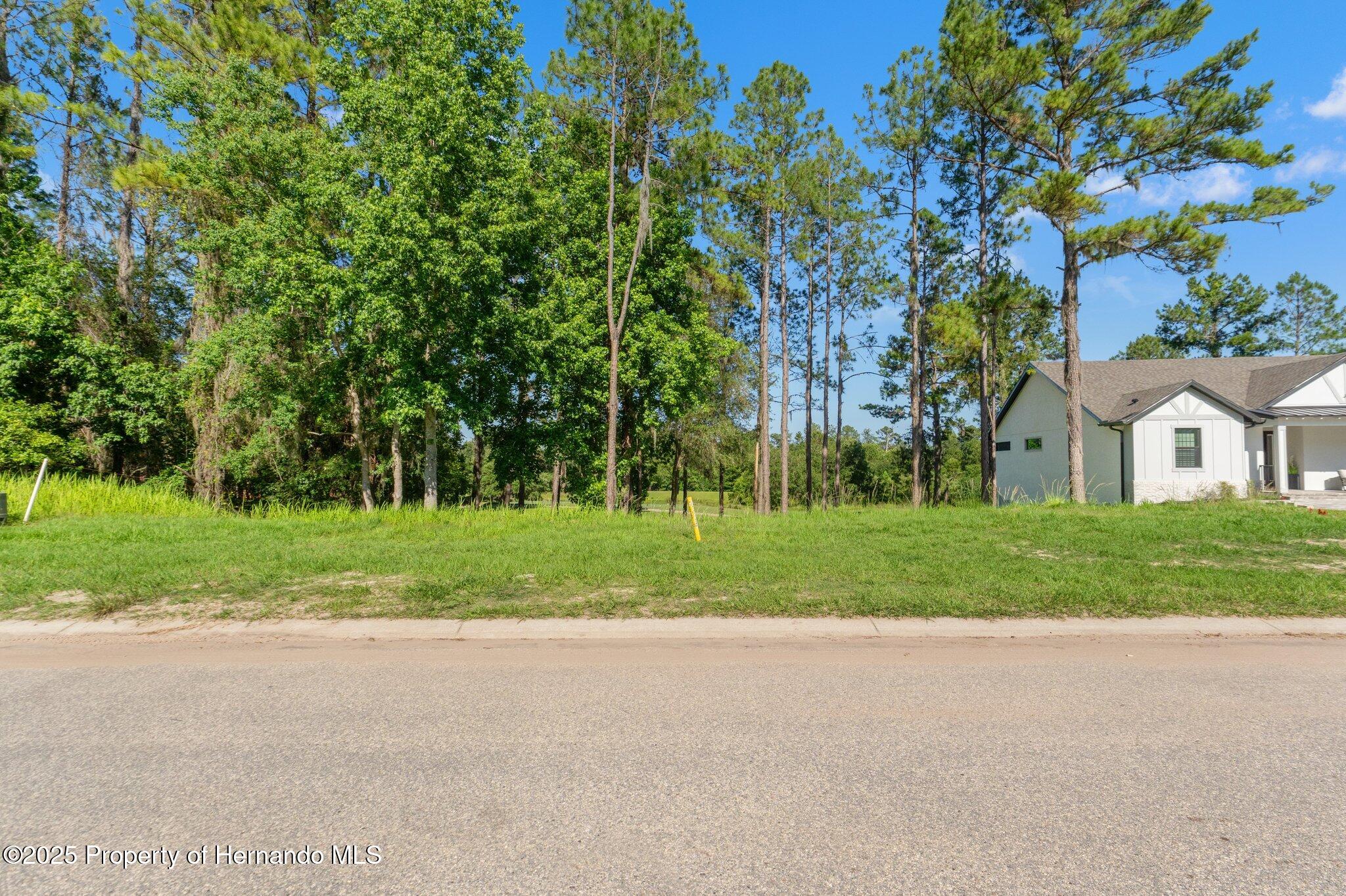 3925 Southern Valley Loop, Brooksville, Florida image 2