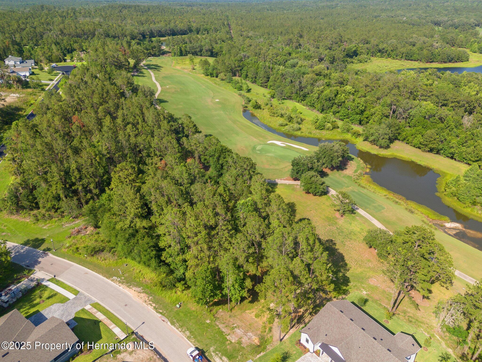 3925 Southern Valley Loop, Brooksville, Florida image 5