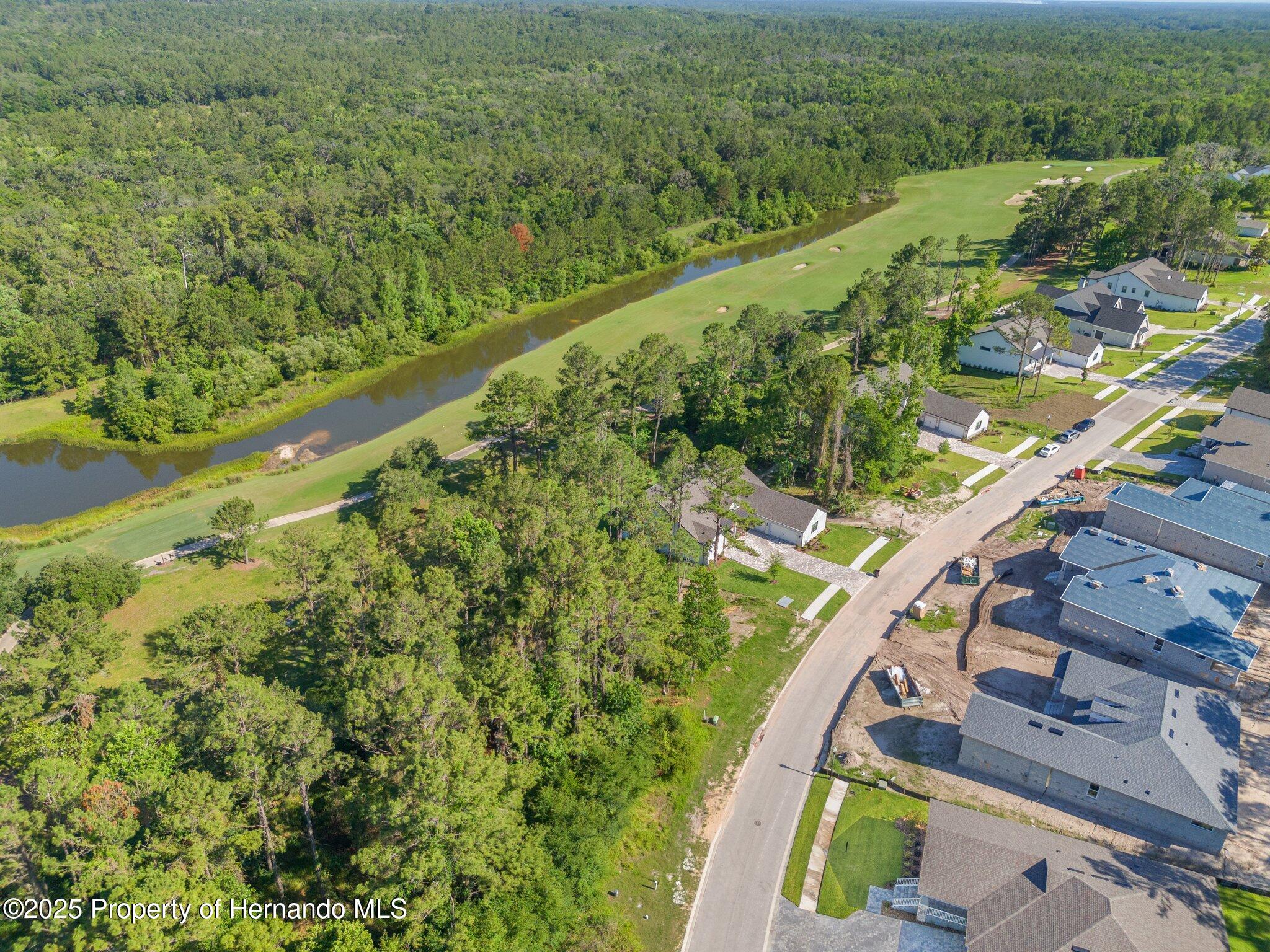 3925 Southern Valley Loop, Brooksville, Florida image 9