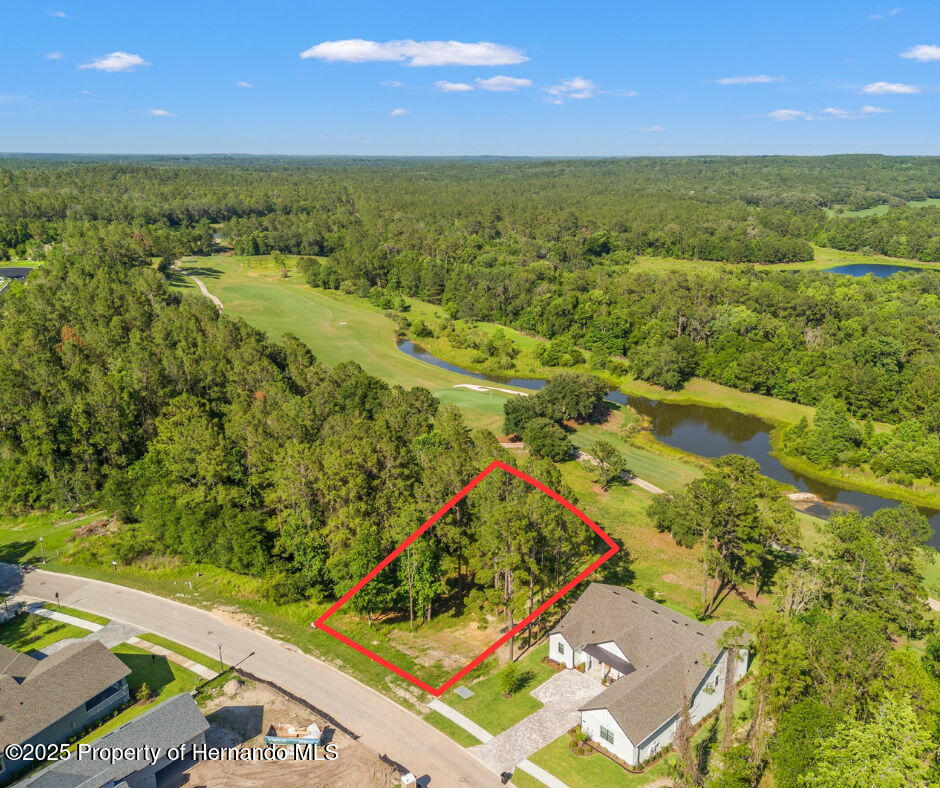 3925 Southern Valley Loop, Brooksville, Florida image 1