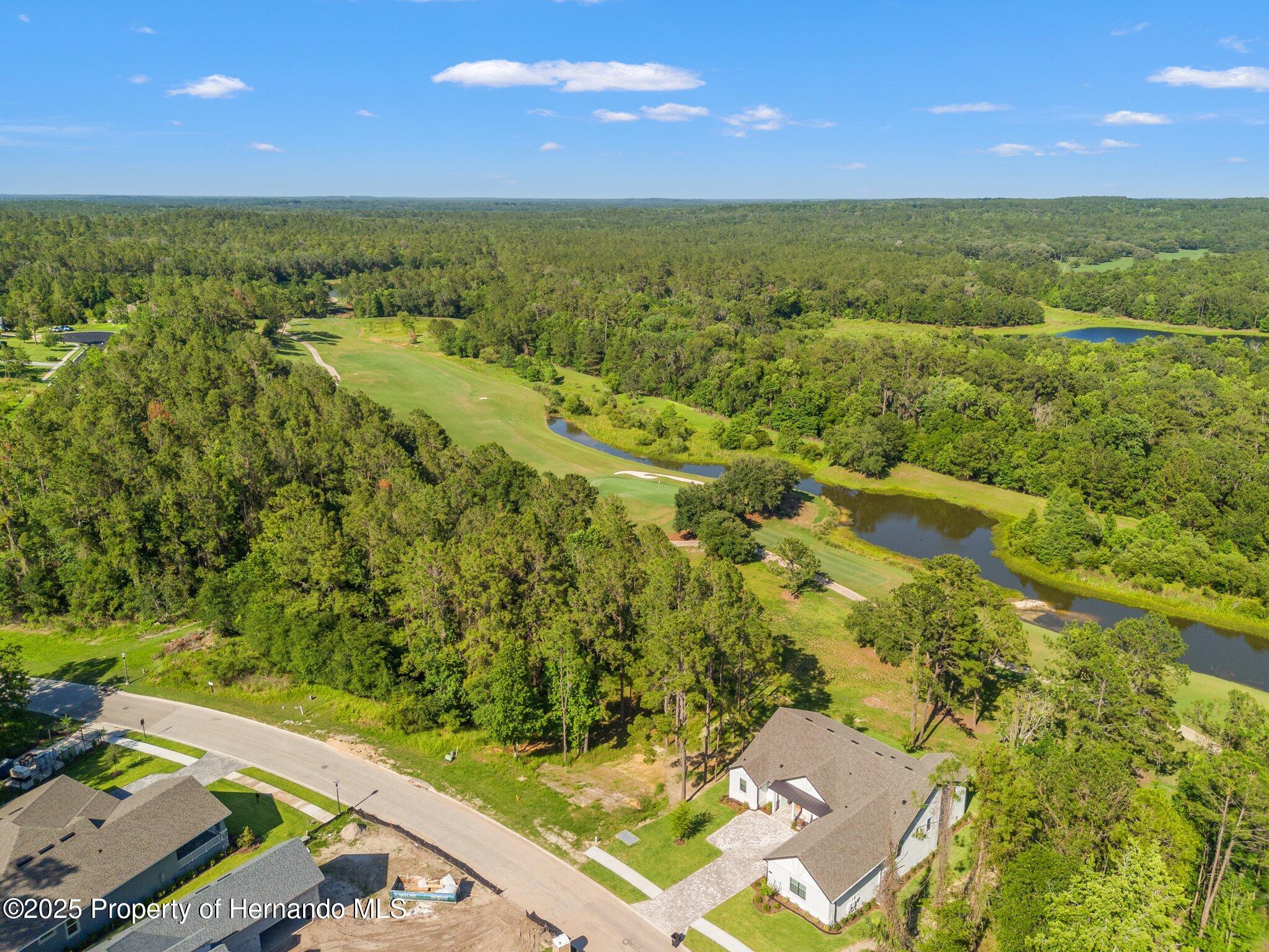 3925 Southern Valley Loop, Brooksville, Florida image 8
