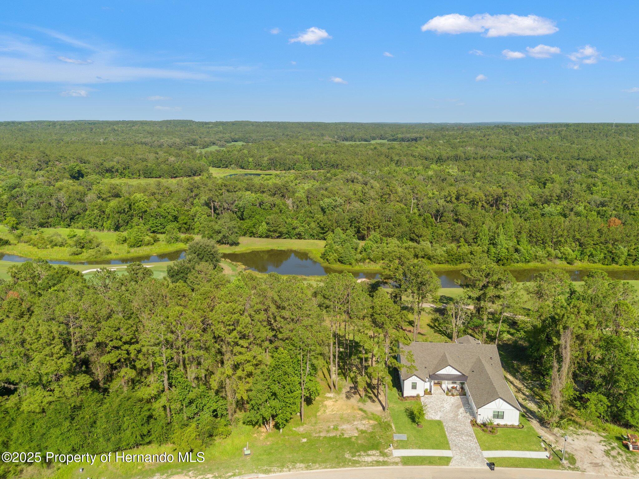 3925 Southern Valley Loop, Brooksville, Florida image 7