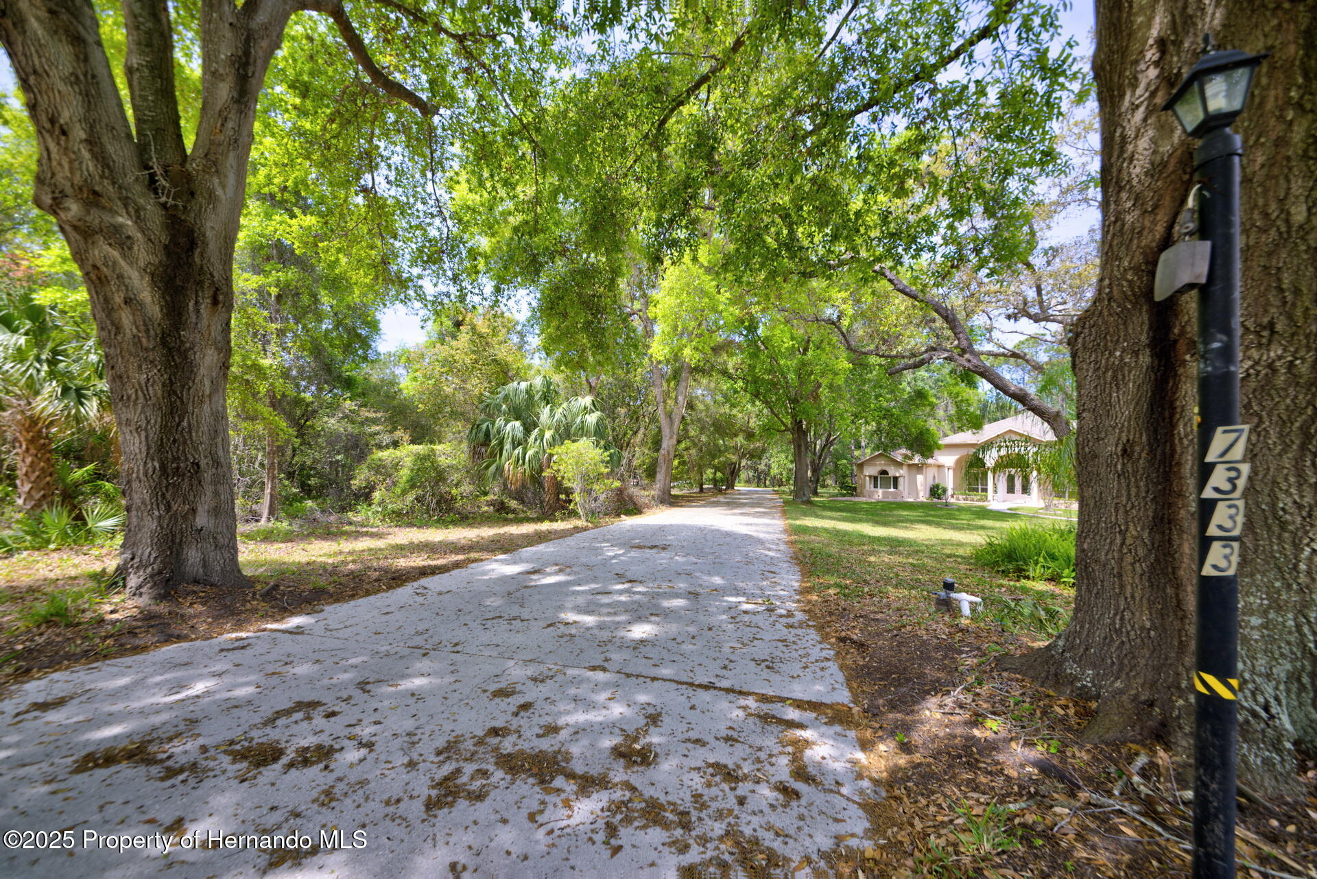 7333 Royal Oak Drive, Spring Hill, Florida image 10