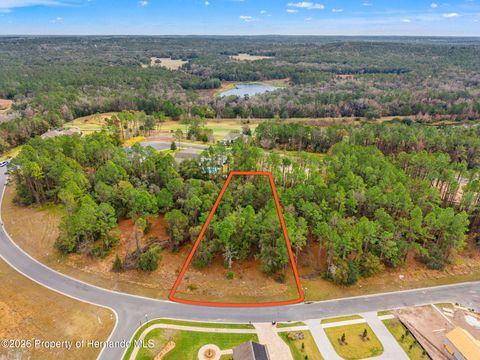 Vacant Land For Sale - 5070 Cedar Ridge Drive<br/> Brooksville, FL 34601