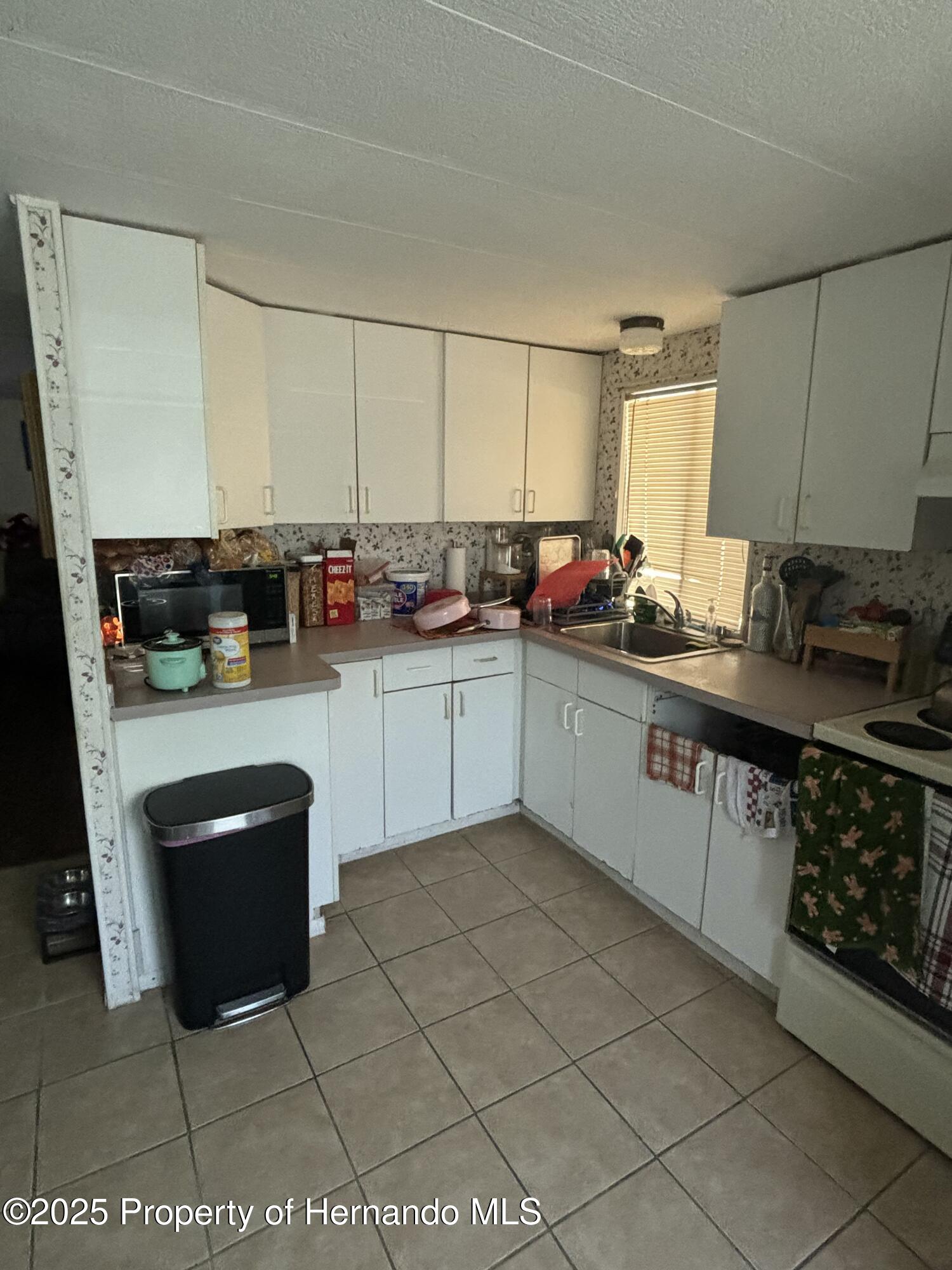 7351 Sealawn Drive, Spring Hill, Florida image 3