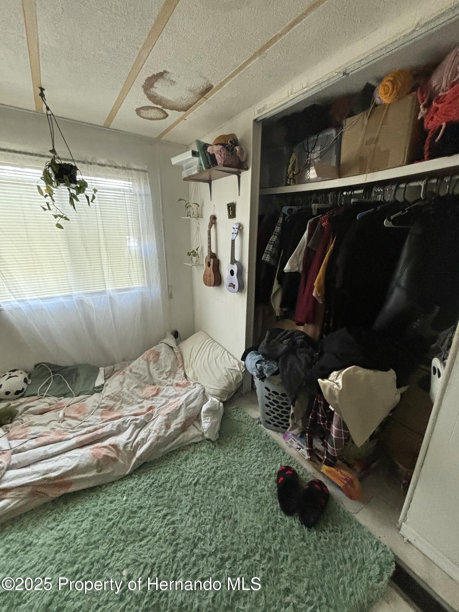 7351 Sealawn Drive, Spring Hill, Florida image 11