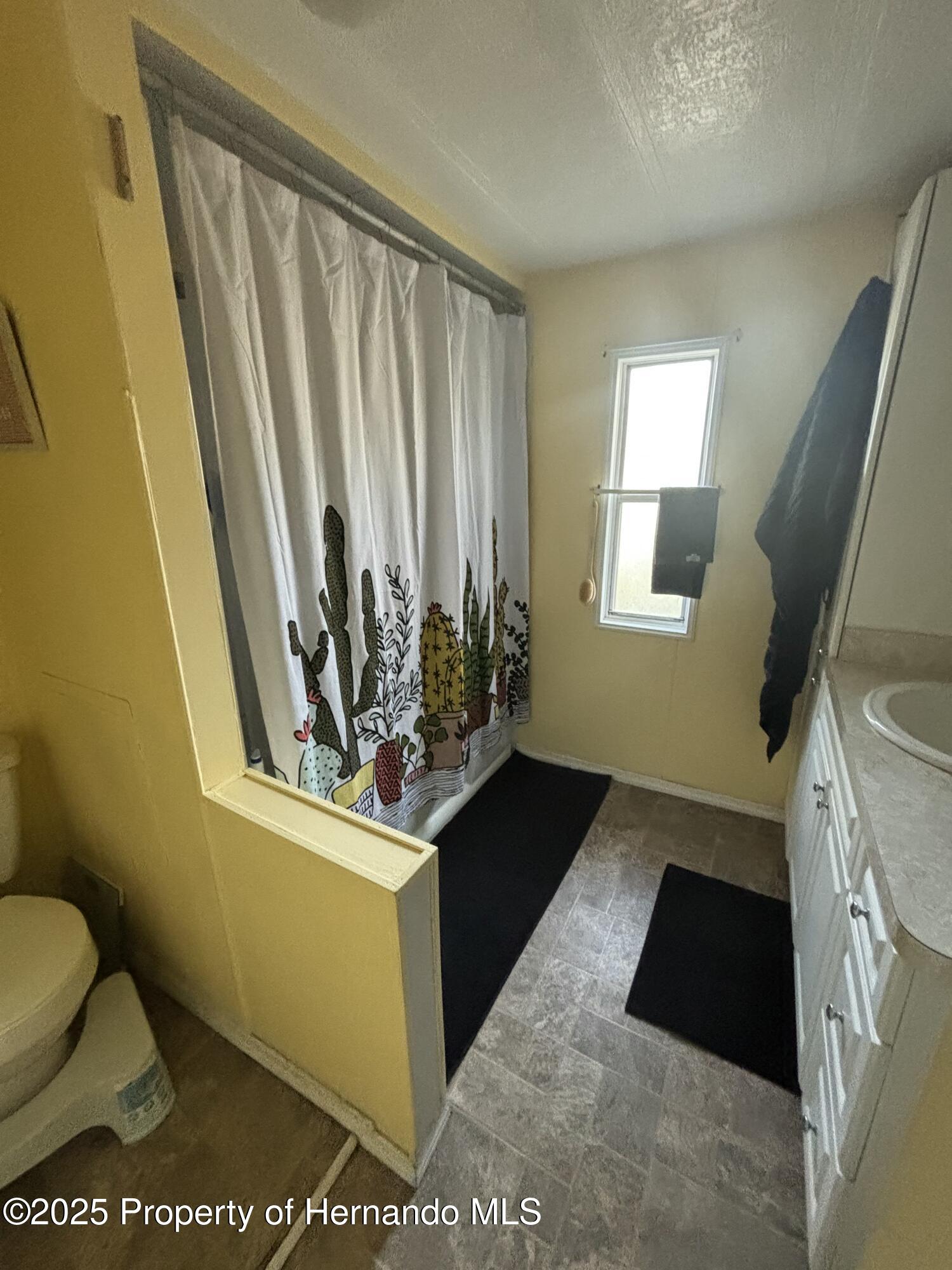 7351 Sealawn Drive, Spring Hill, Florida image 13