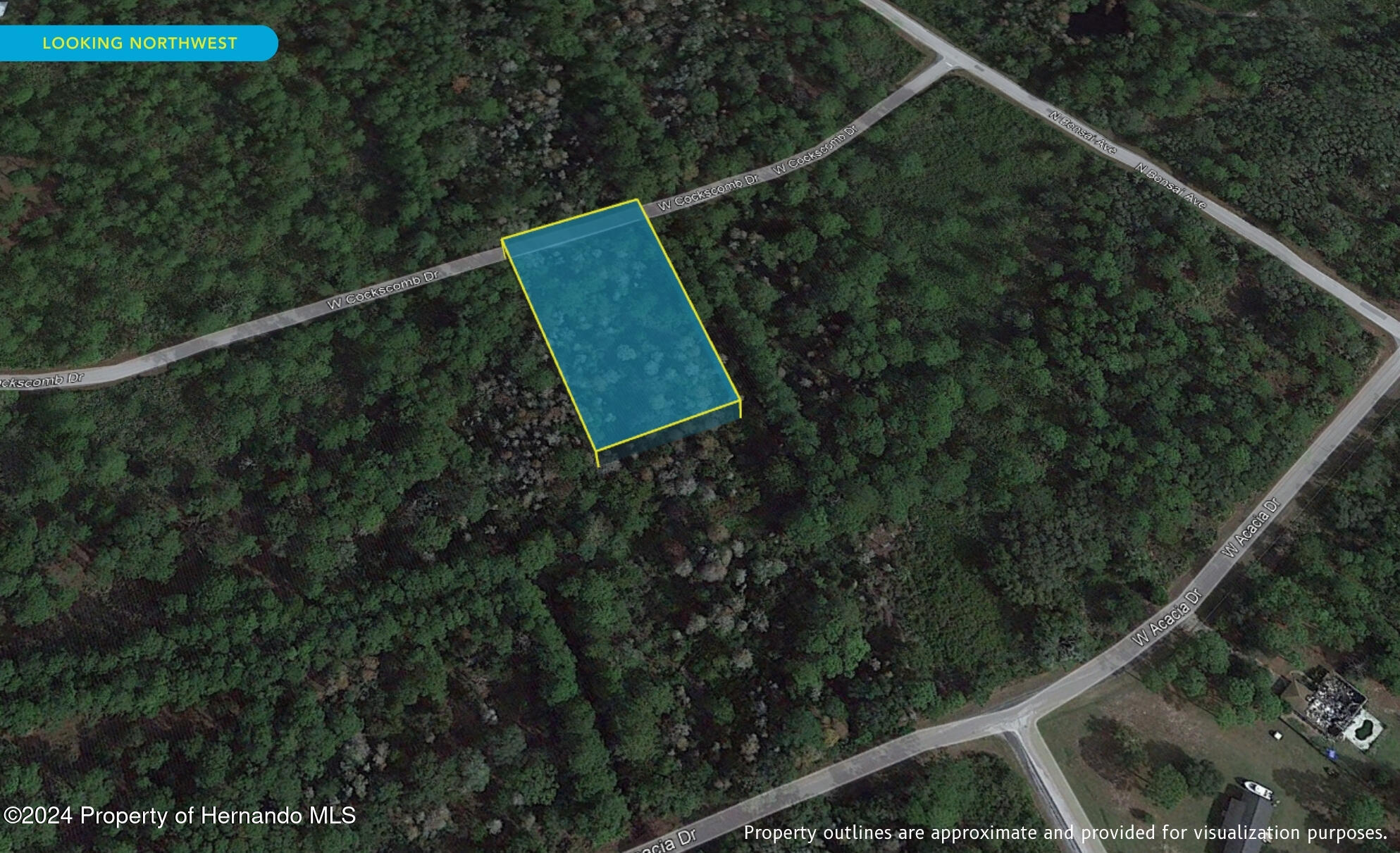 11276 W Cockscomb Drive, Crystal River, Florida image 7