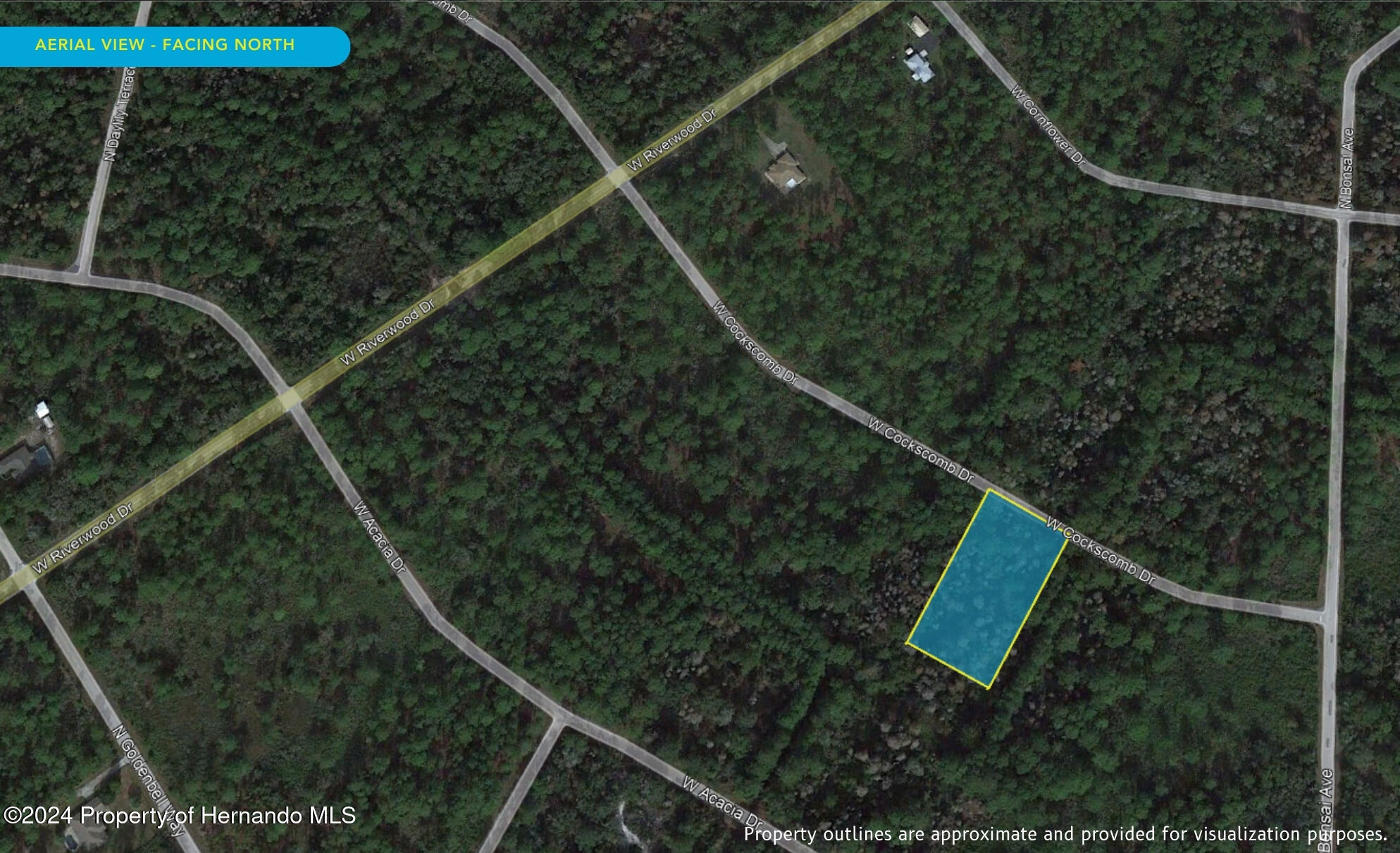 11276 W Cockscomb Drive, Crystal River, Florida image 10