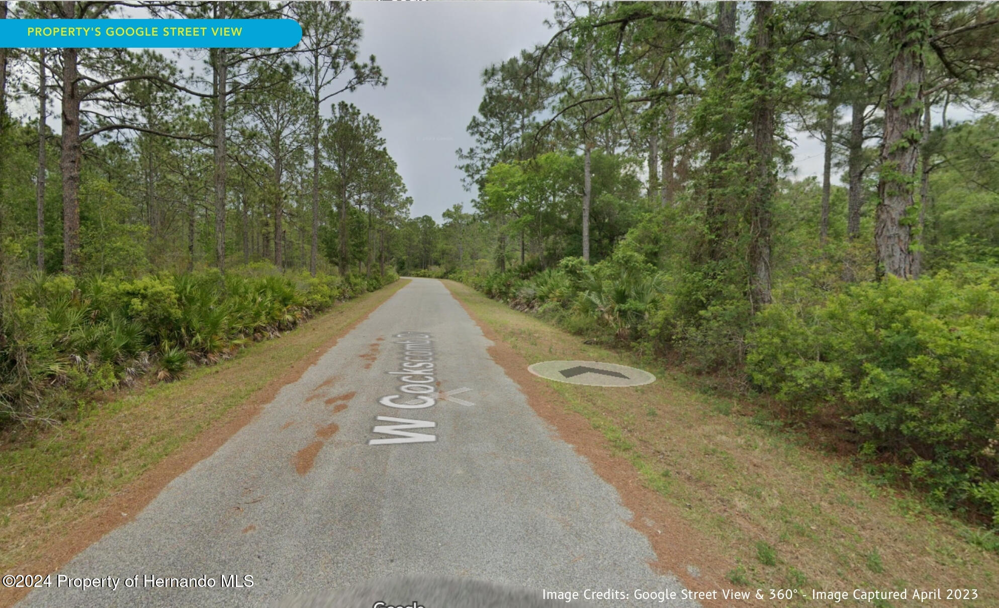 11276 W Cockscomb Drive, Crystal River, Florida image 15