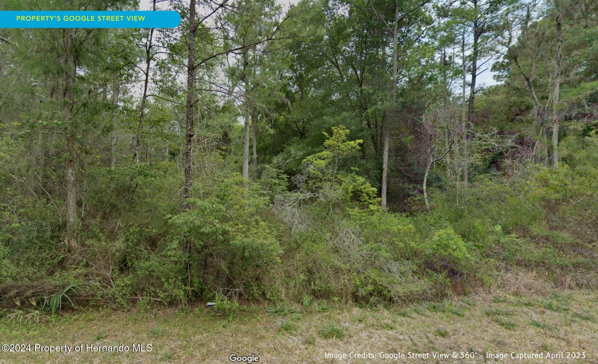 11276 W Cockscomb Drive, Crystal River, Florida image 11