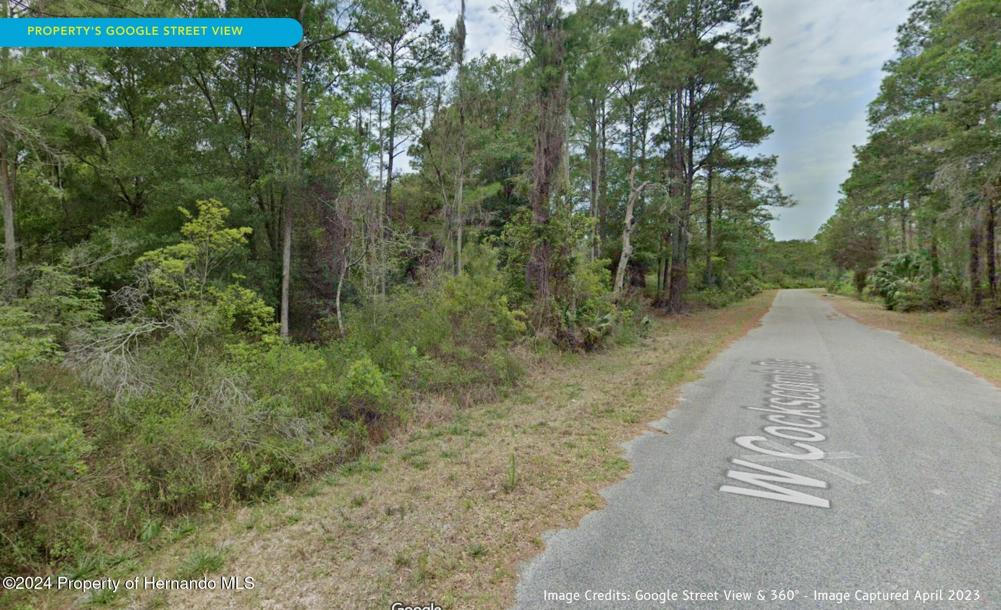 11276 W Cockscomb Drive, Crystal River, Florida image 12