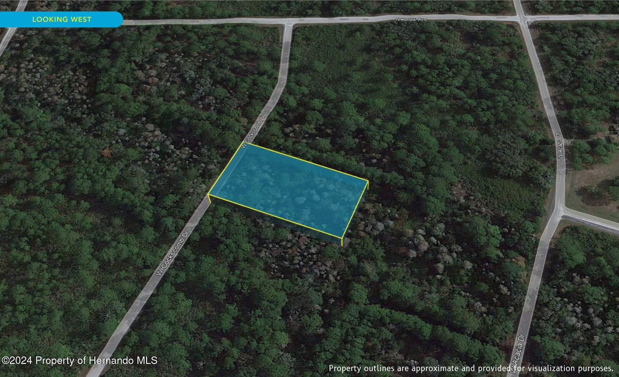 11276 W Cockscomb Drive, Crystal River, Florida image 3