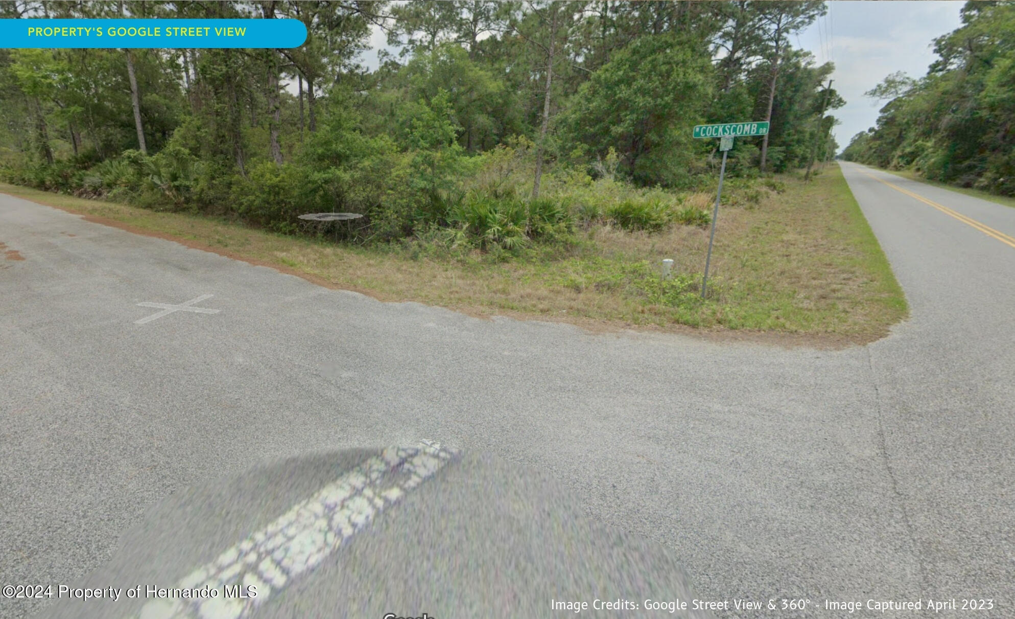 11276 W Cockscomb Drive, Crystal River, Florida image 14