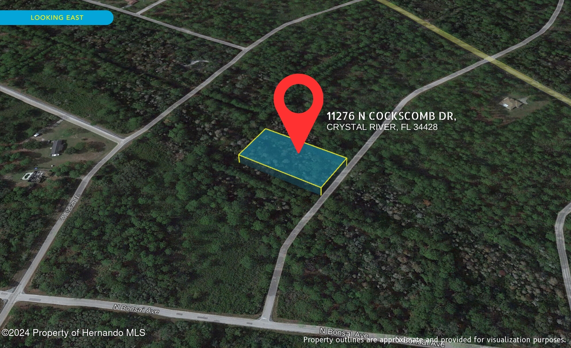 11276 W Cockscomb Drive, Crystal River, Florida image 1