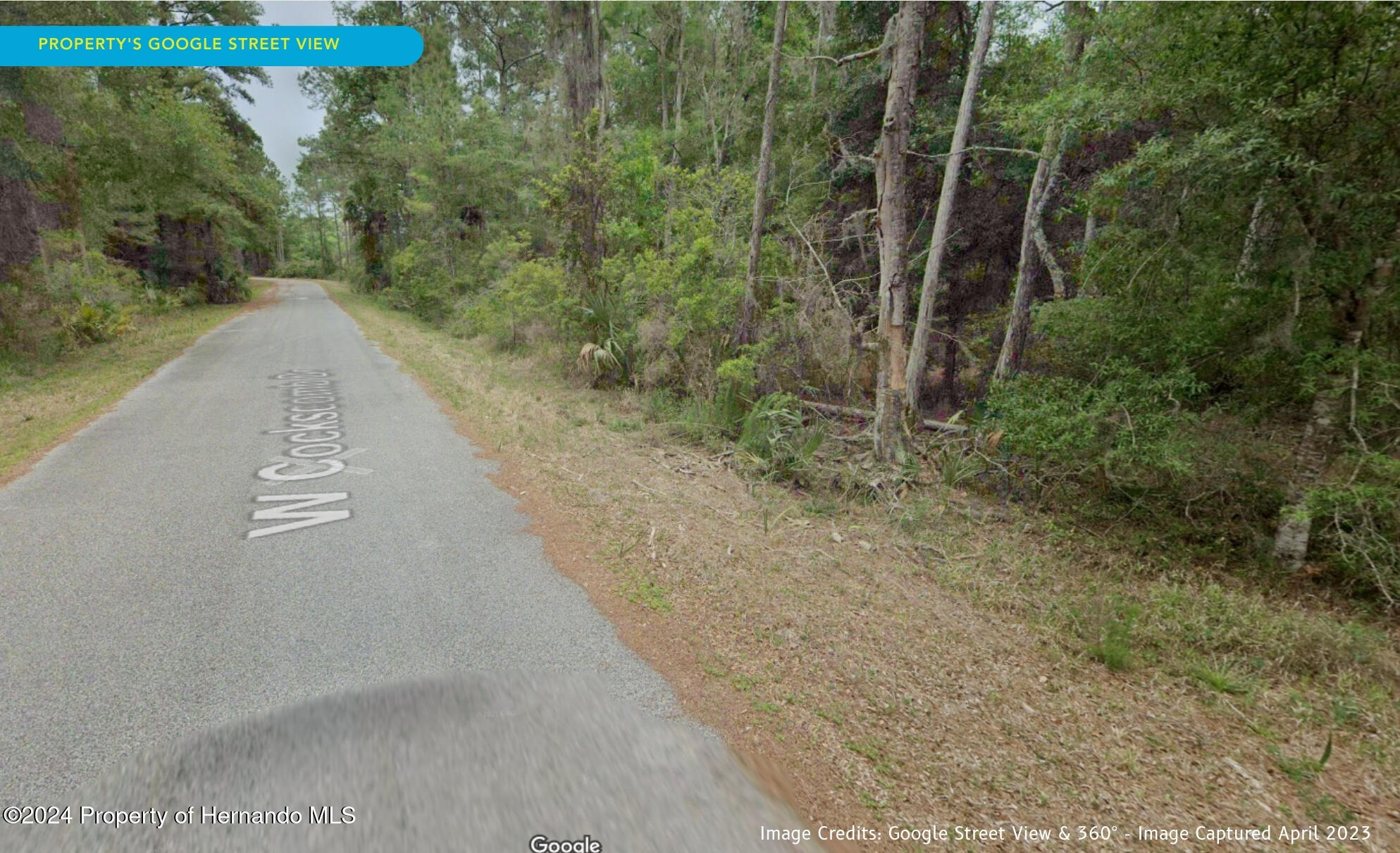 11276 W Cockscomb Drive, Crystal River, Florida image 13