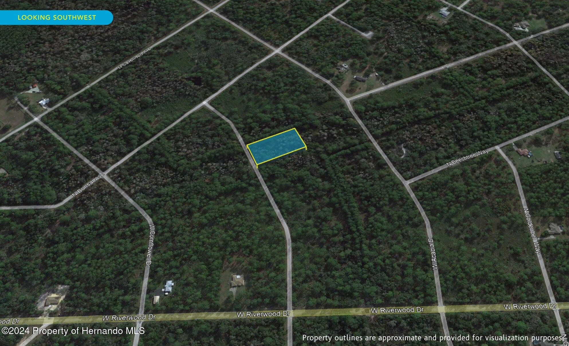 11276 W Cockscomb Drive, Crystal River, Florida image 6