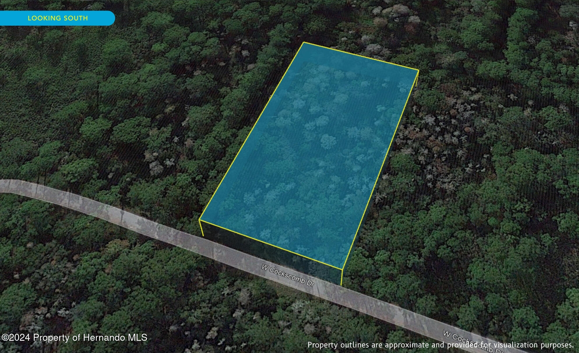 11276 W Cockscomb Drive, Crystal River, Florida image 4