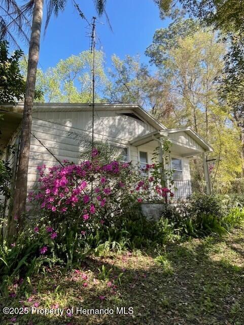 98 Tangerine Street, Brooksville, Florida image 4