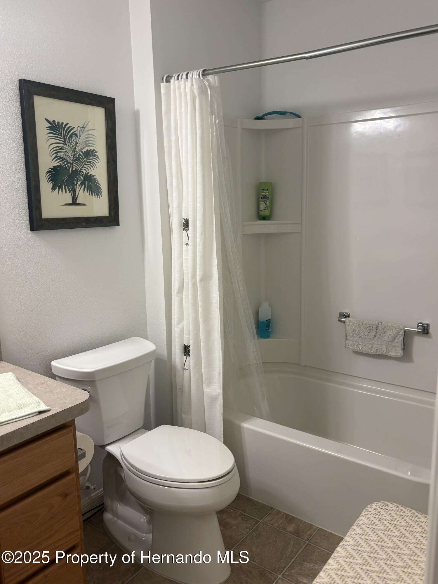 2595 Edenville Path, The Villages, Florida image 18