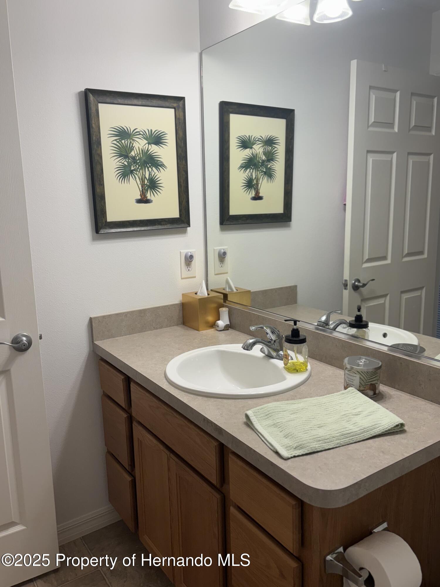 2595 Edenville Path, The Villages, Florida image 16