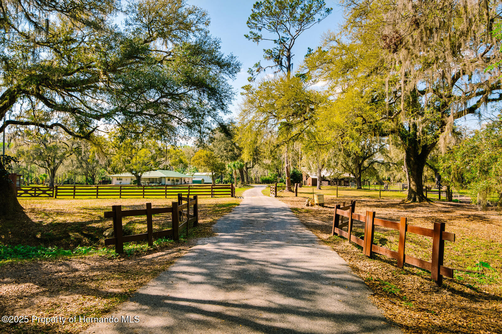 4942 Cr 300, Lake Panasoffkee, Florida image 3