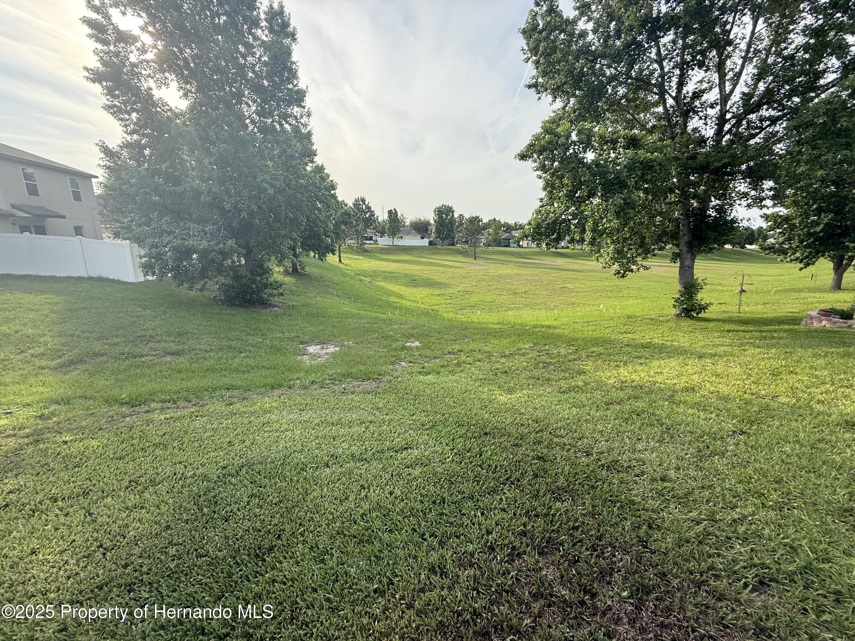 9238 Southern Charm Circle, Brooksville, Florida image 22