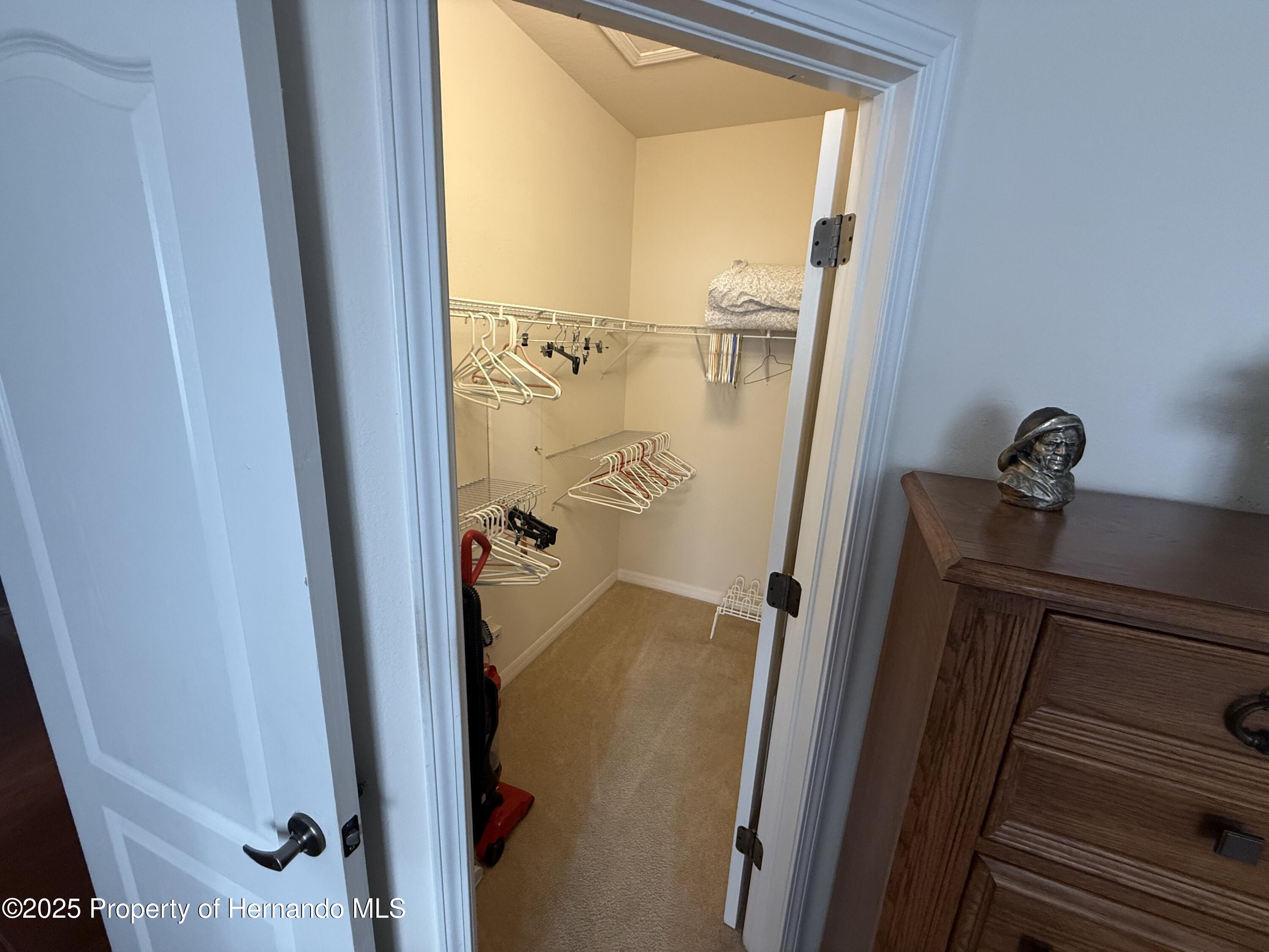 9238 Southern Charm Circle, Brooksville, Florida image 15