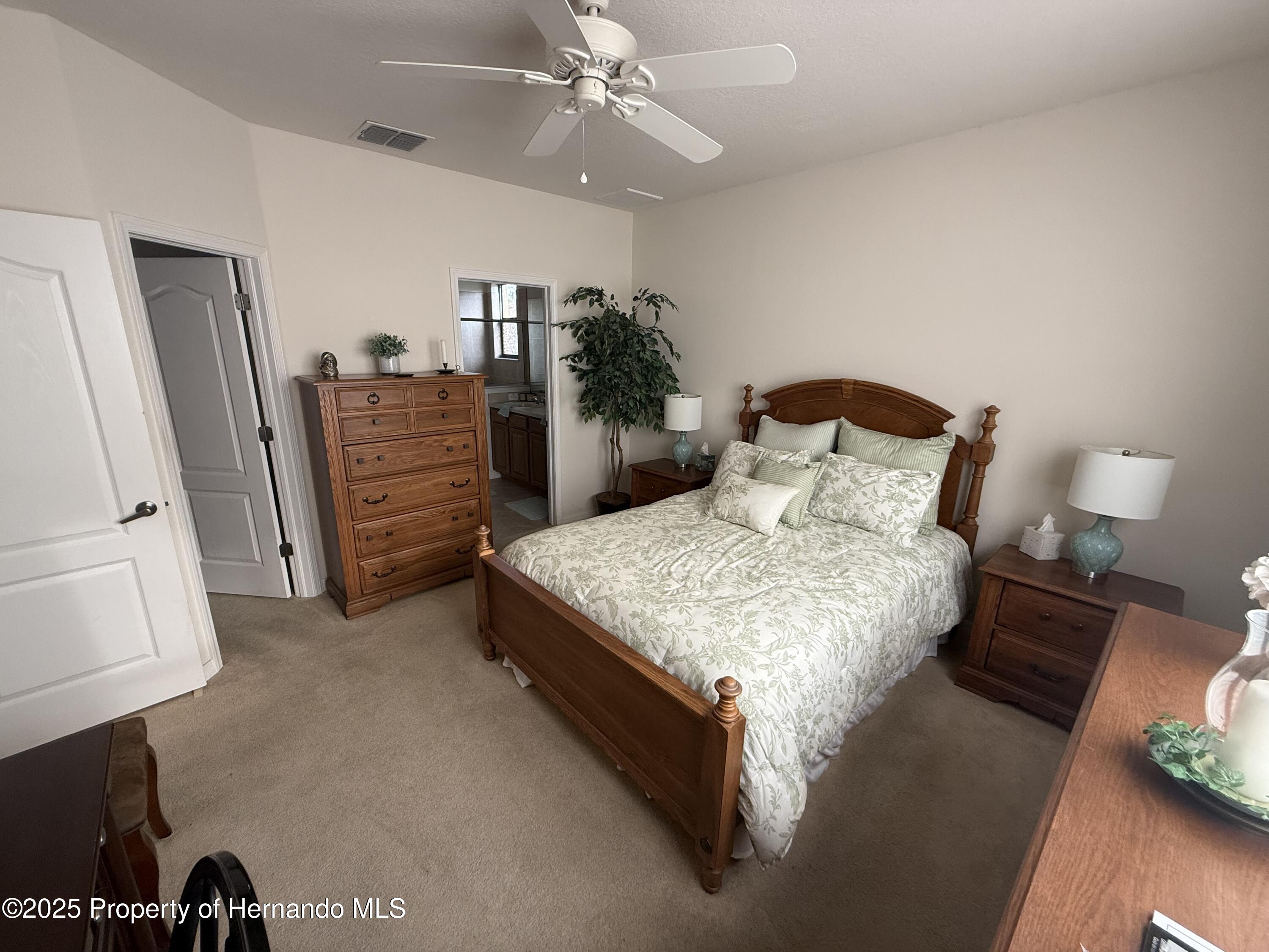 9238 Southern Charm Circle, Brooksville, Florida image 11