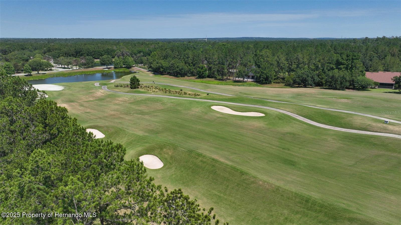 19883 Pinnacle Place, Brooksville, Florida image 22