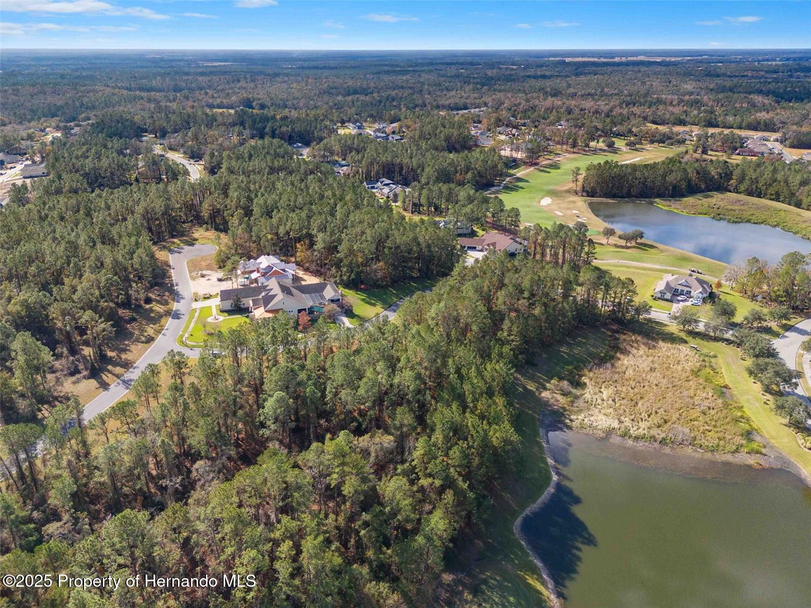 19883 Pinnacle Place, Brooksville, Florida image 3