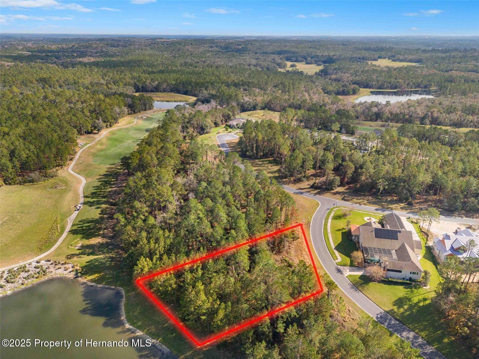 19883 Pinnacle Place, Brooksville, Florida image 13