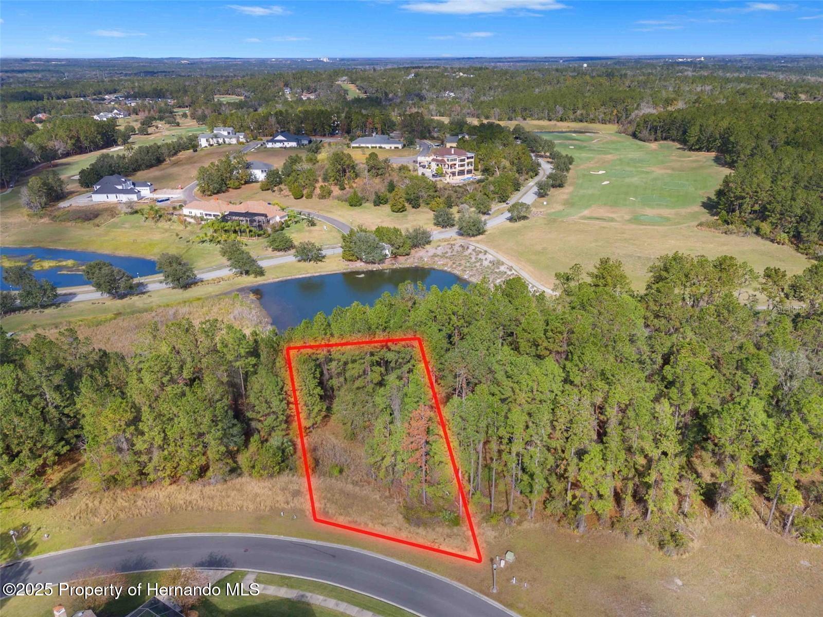 19883 Pinnacle Place, Brooksville, Florida image 2
