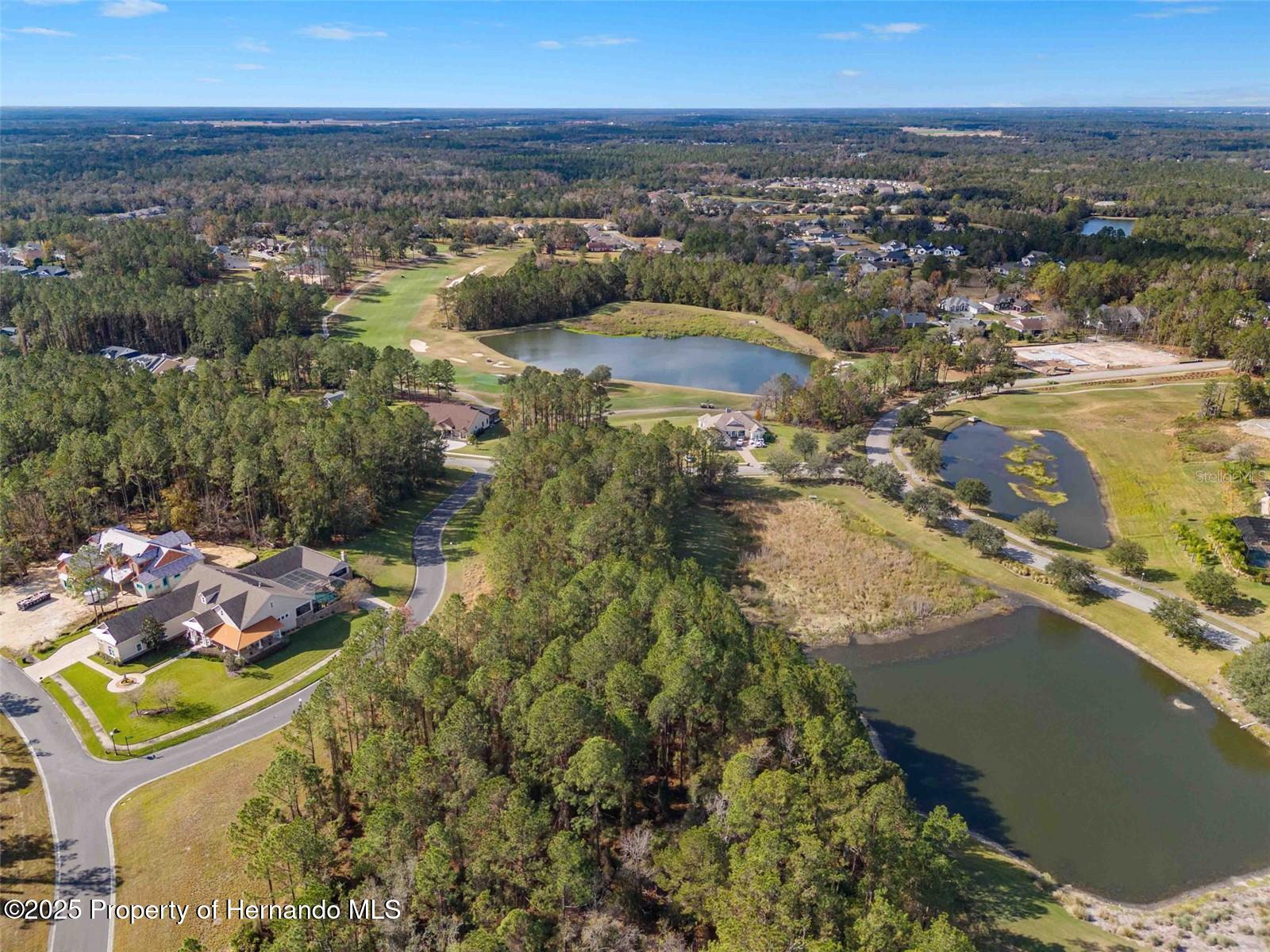 19883 Pinnacle Place, Brooksville, Florida image 8