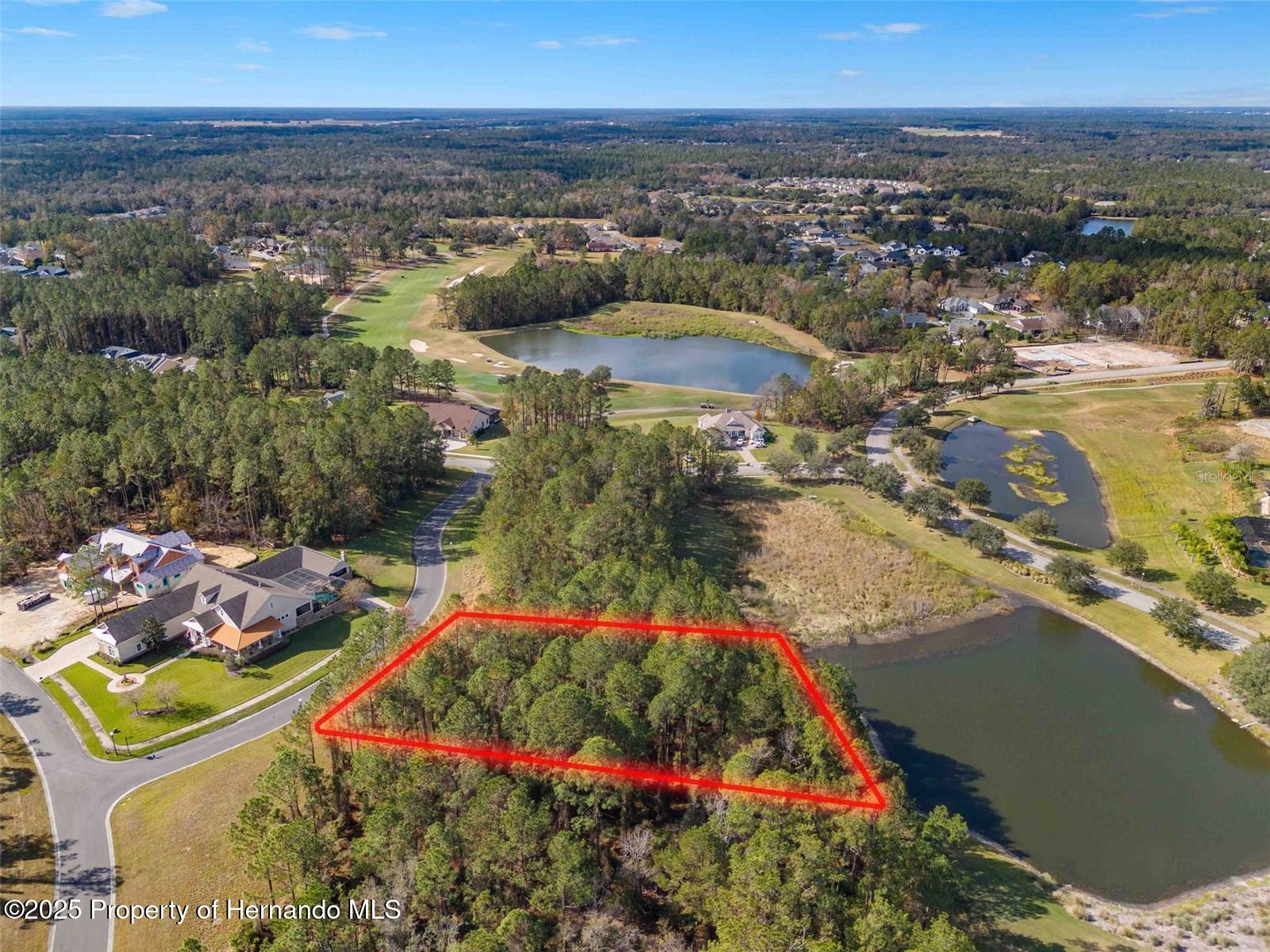 19883 Pinnacle Place, Brooksville, Florida image 7