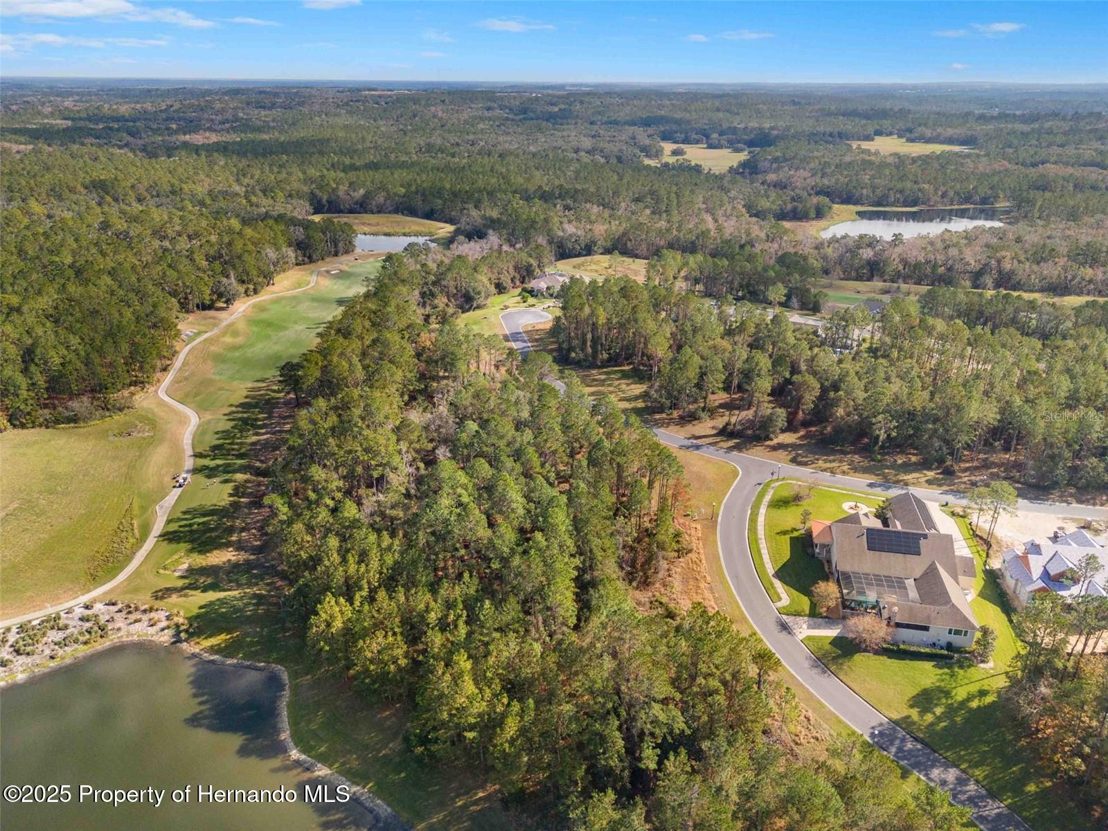 19883 Pinnacle Place, Brooksville, Florida image 9