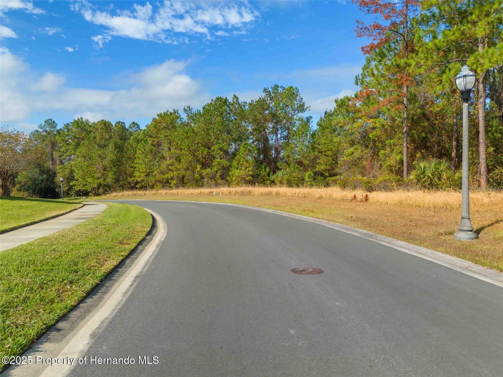 19883 Pinnacle Place, Brooksville, Florida image 17
