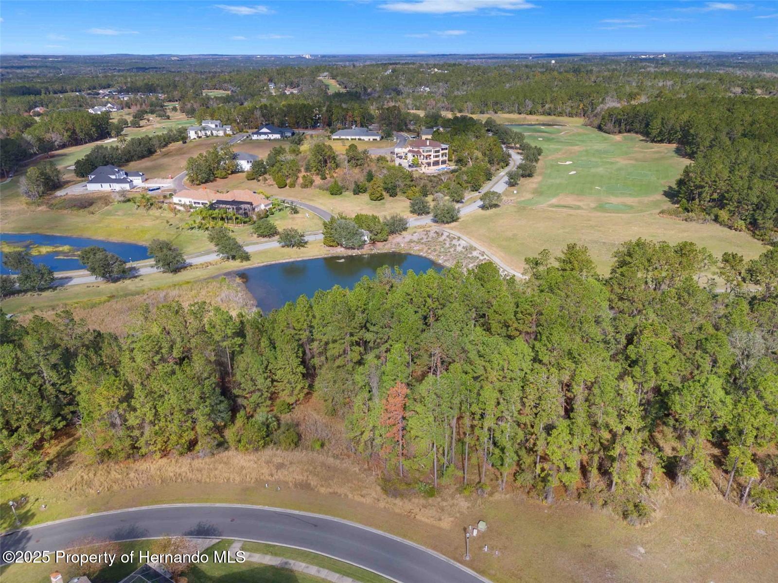 19883 Pinnacle Place, Brooksville, Florida image 4