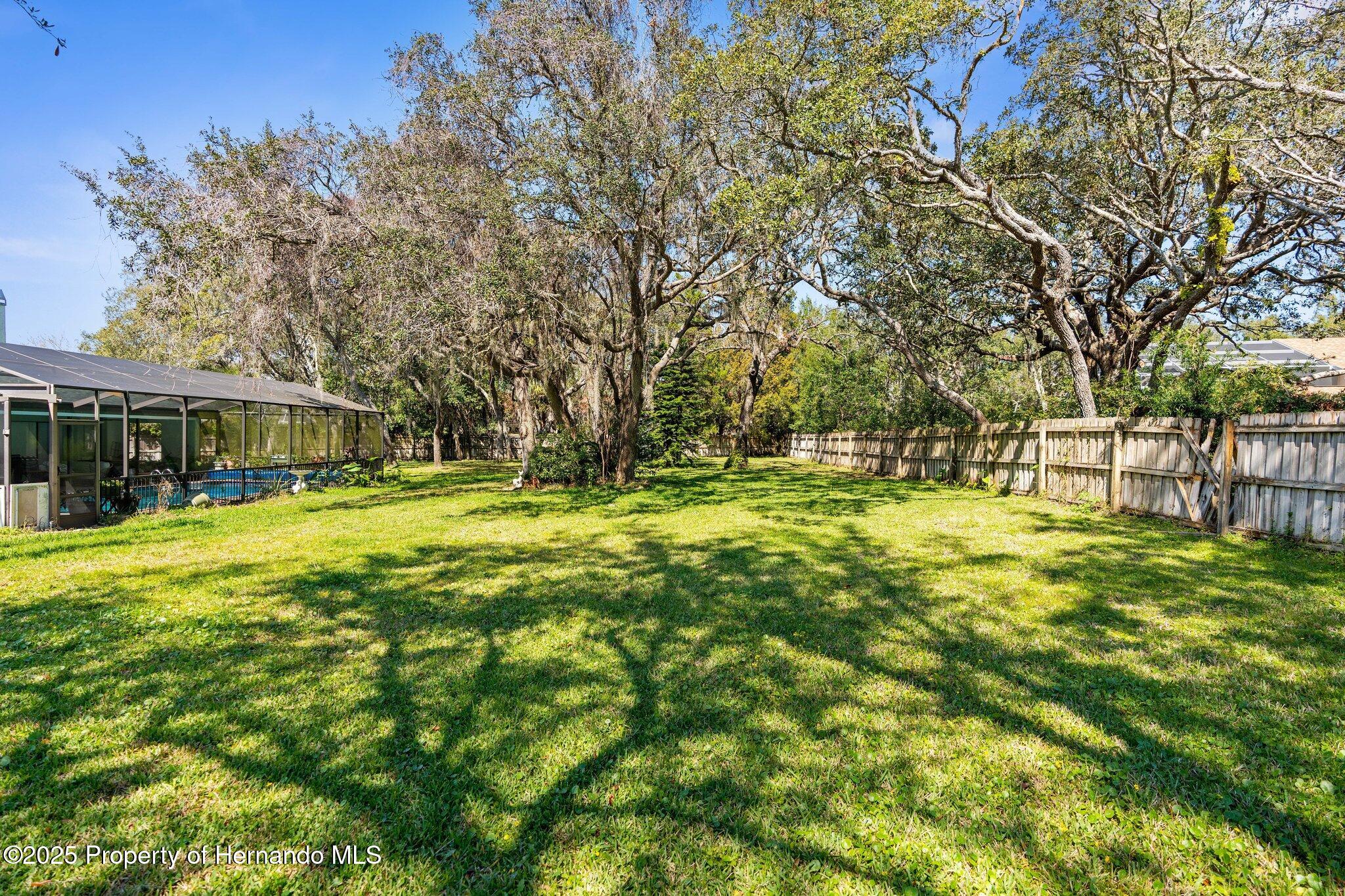 13819 Eagles Rock Court, Hudson, Florida image 6