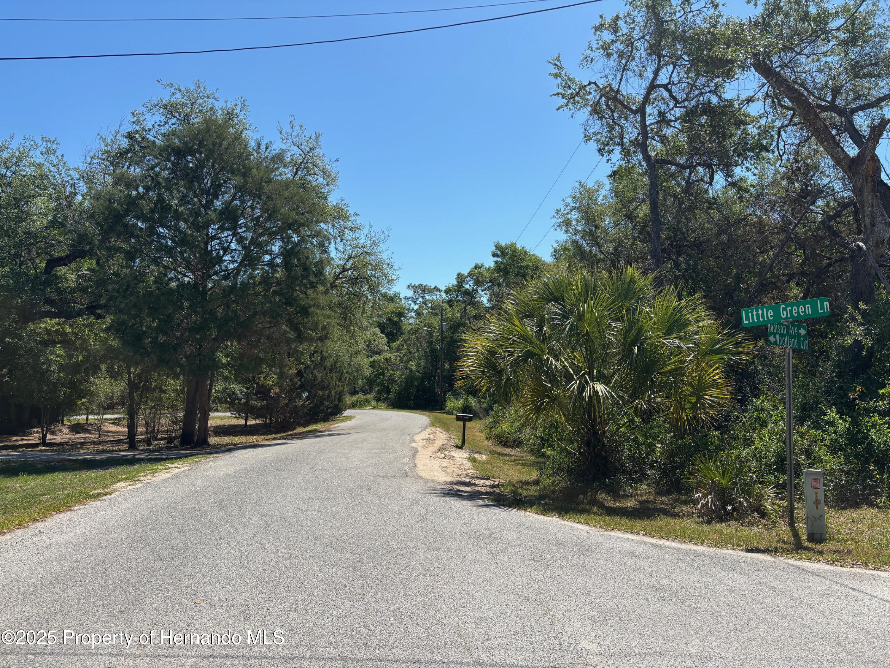 Lot 175C Madison Avenue, Dade City, Florida image 7
