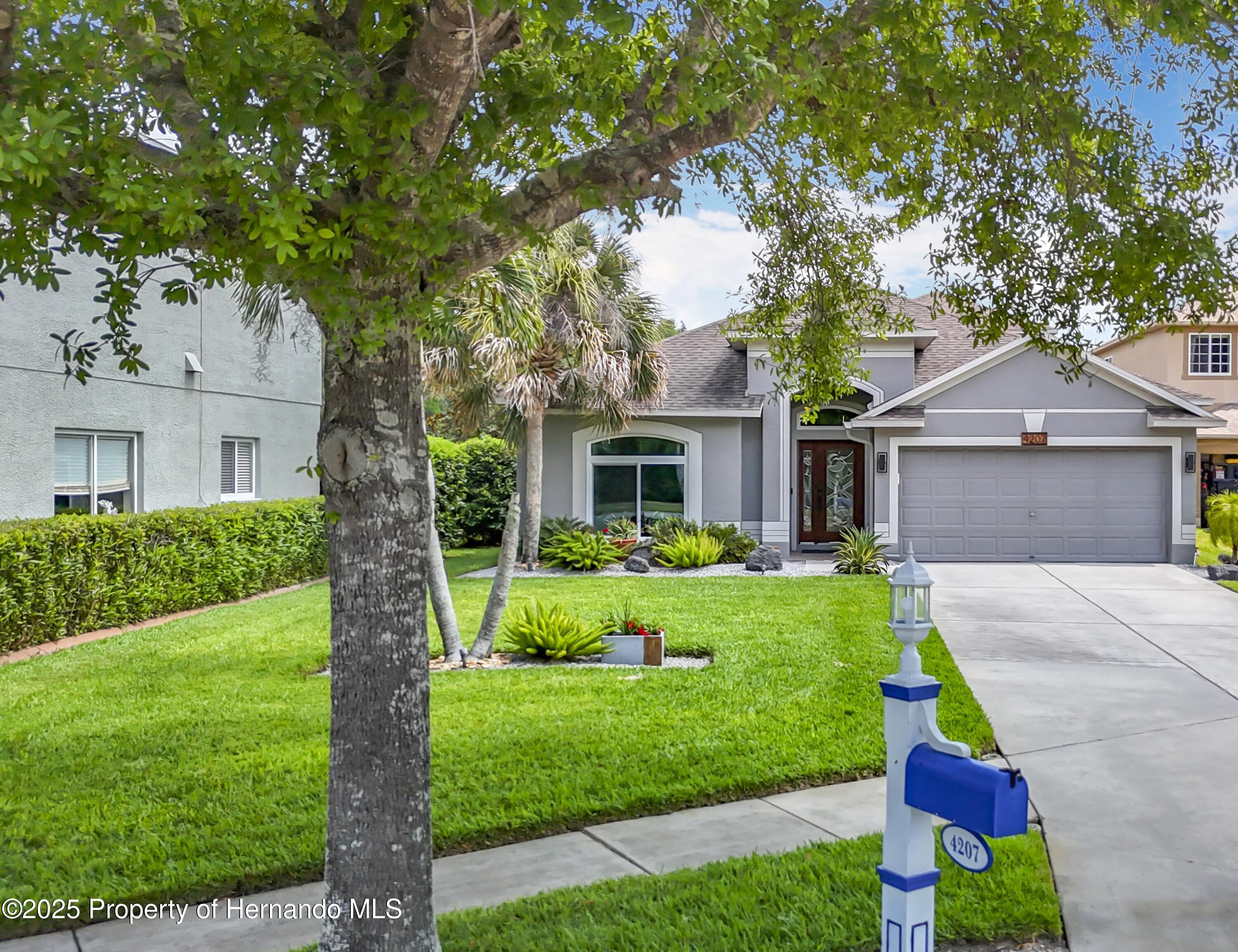 4207 Fishermans Lake Drive, Lutz, Florida image 3