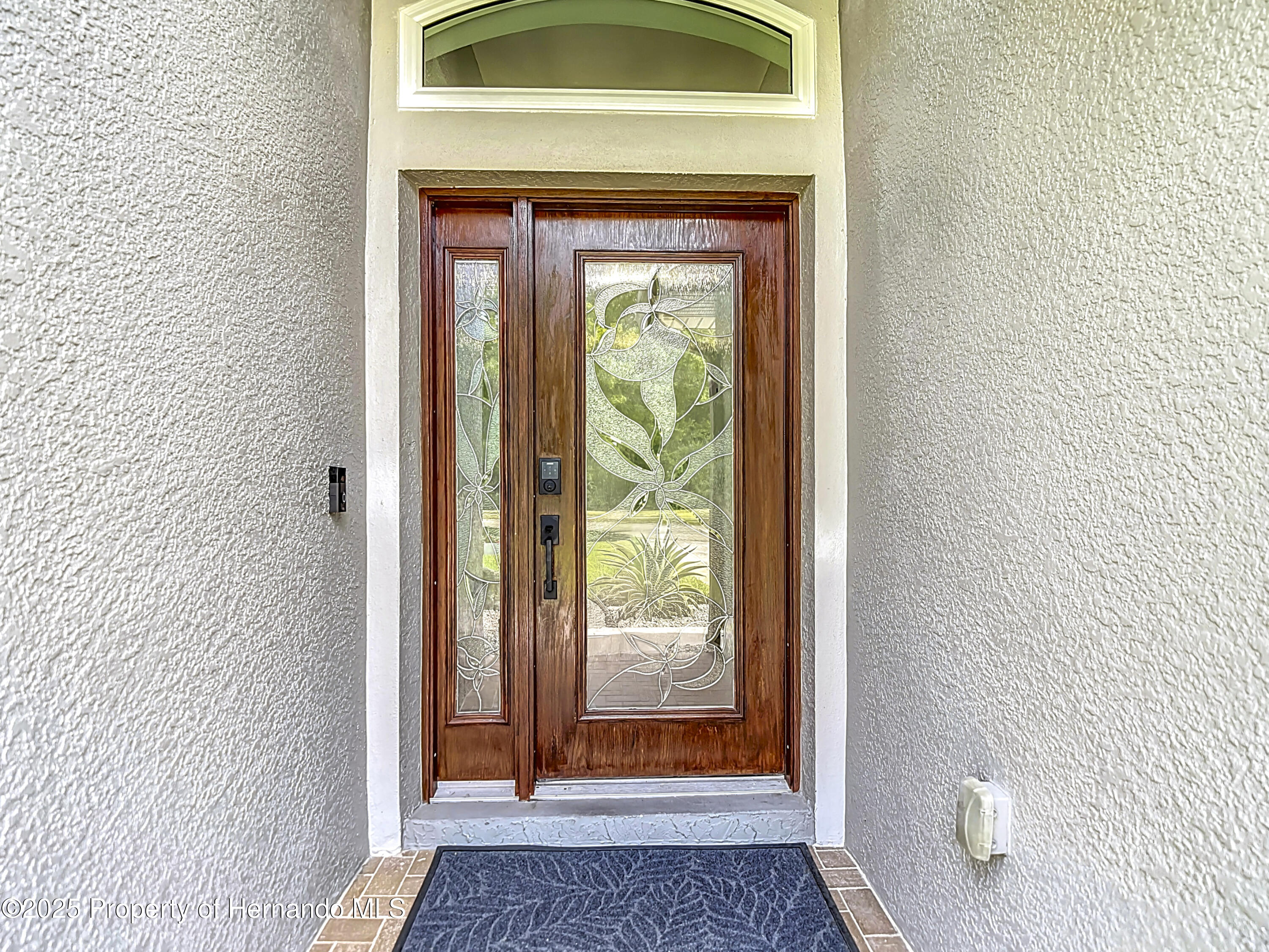 4207 Fishermans Lake Drive, Lutz, Florida image 6